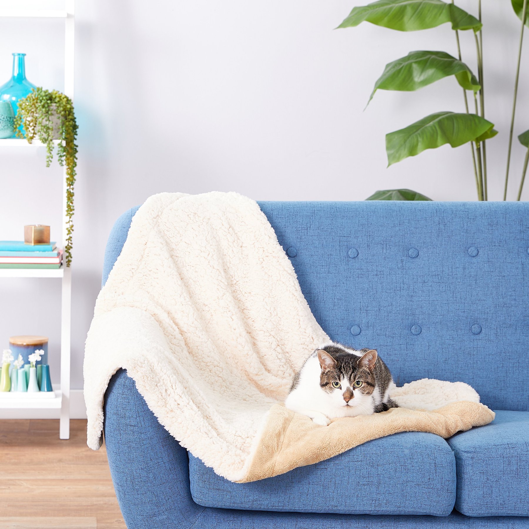 American Kennel Club AKC Micro Sherpa Dog & Cat Blanket