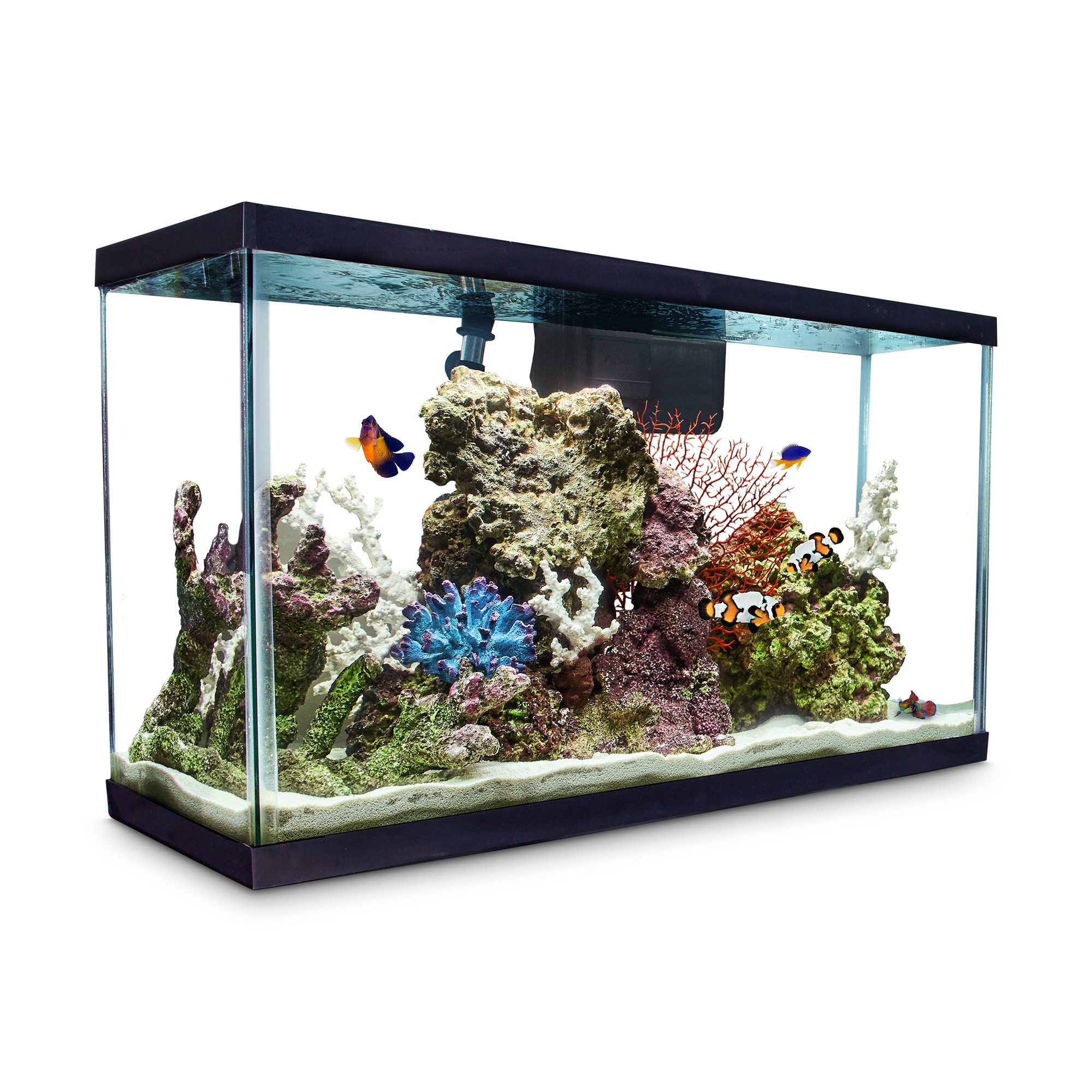 Aqueon Standard Open-Glass Glass Aquarium Tank, 29 Gallon