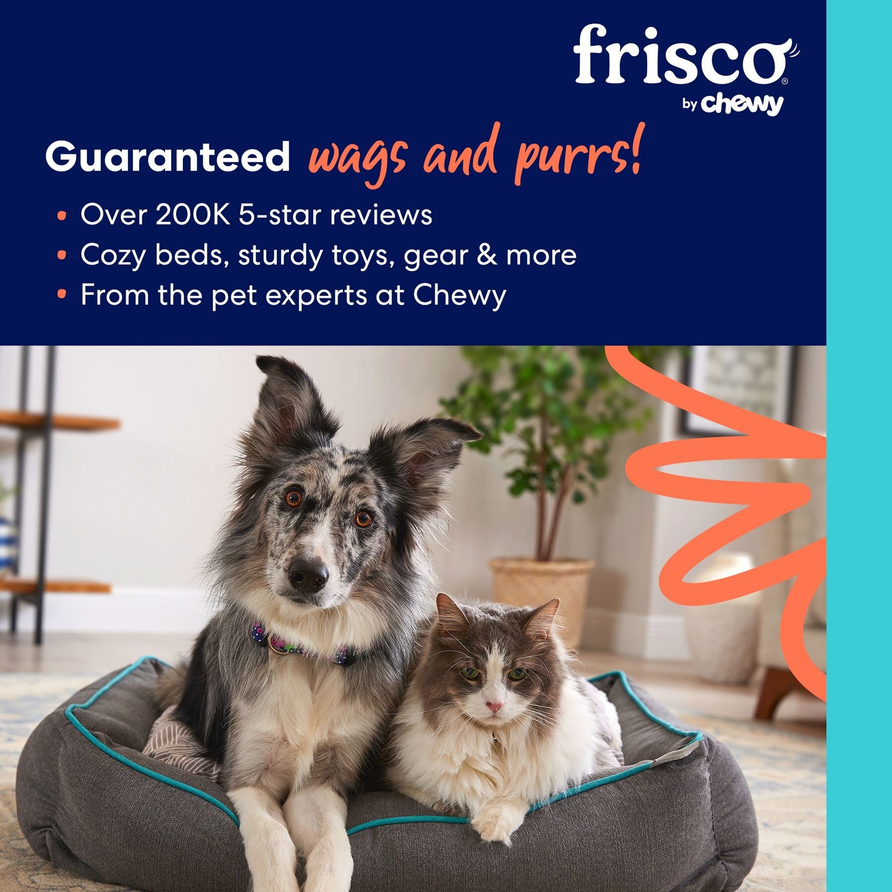 Frisco Adjustable Dog Seatbelt Tether