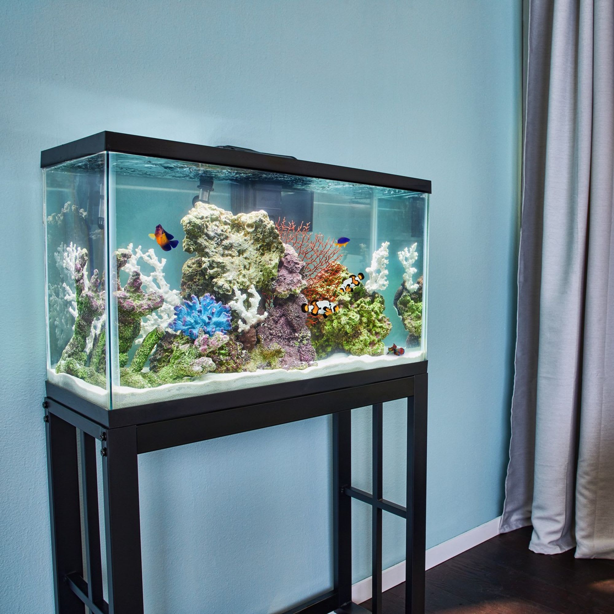 Aqueon Standard Open-Glass Glass Aquarium Tank, 29 Gallon