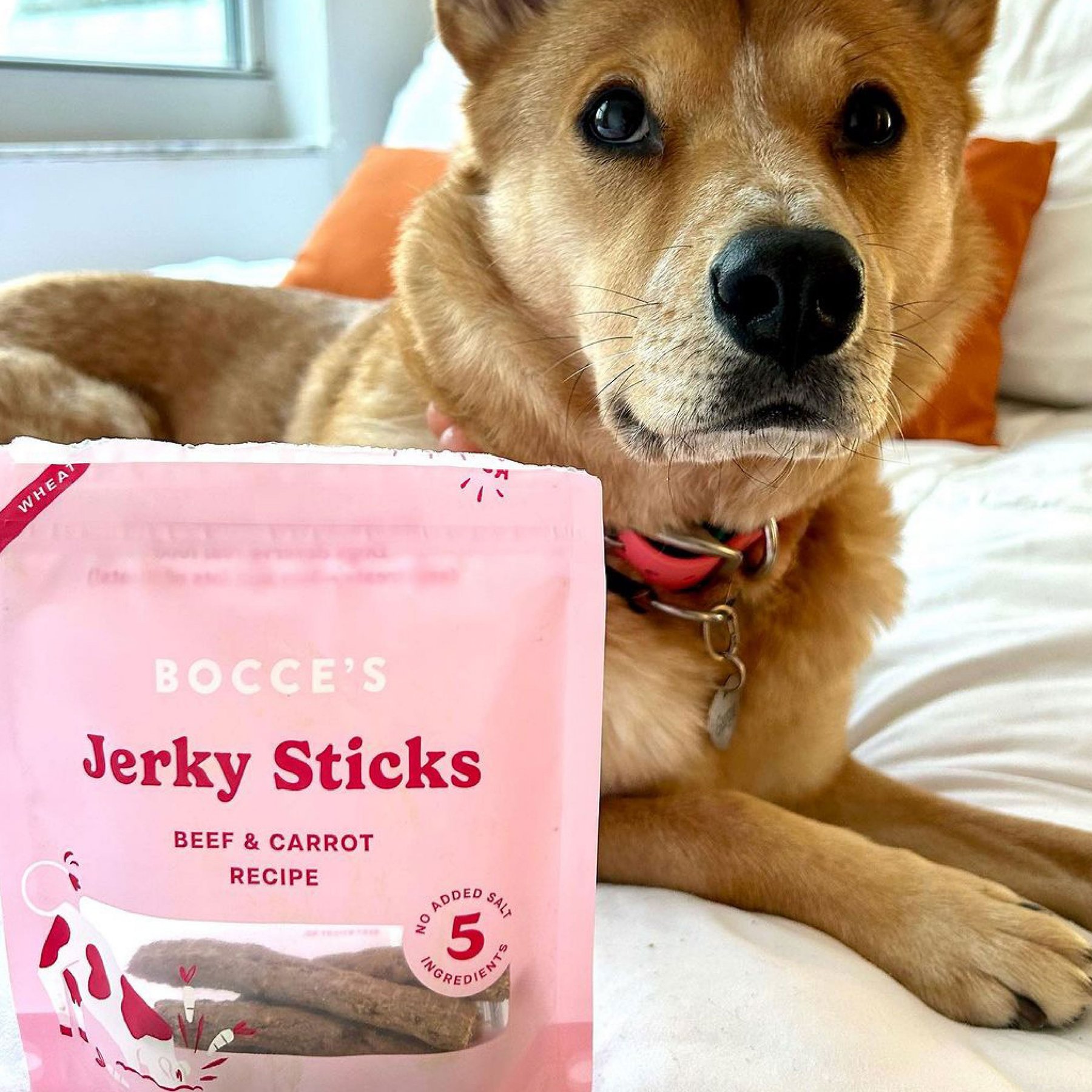 Bocce's Bakery Grazers Beef Jerky Dog Treats, 4-oz pouch