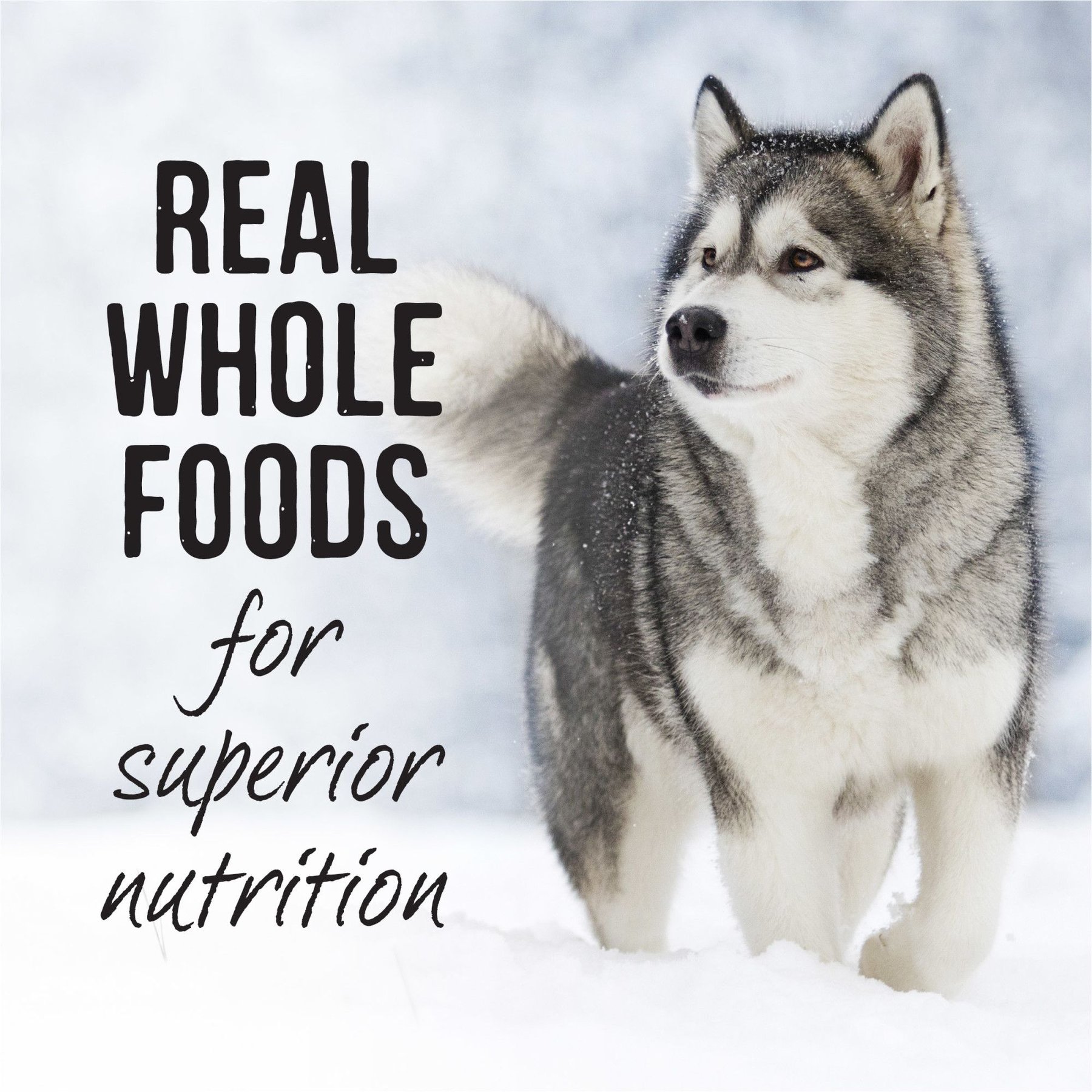 Merrick Backcountry Grain-Free Wet Dog Food Hero's Banquet Stew