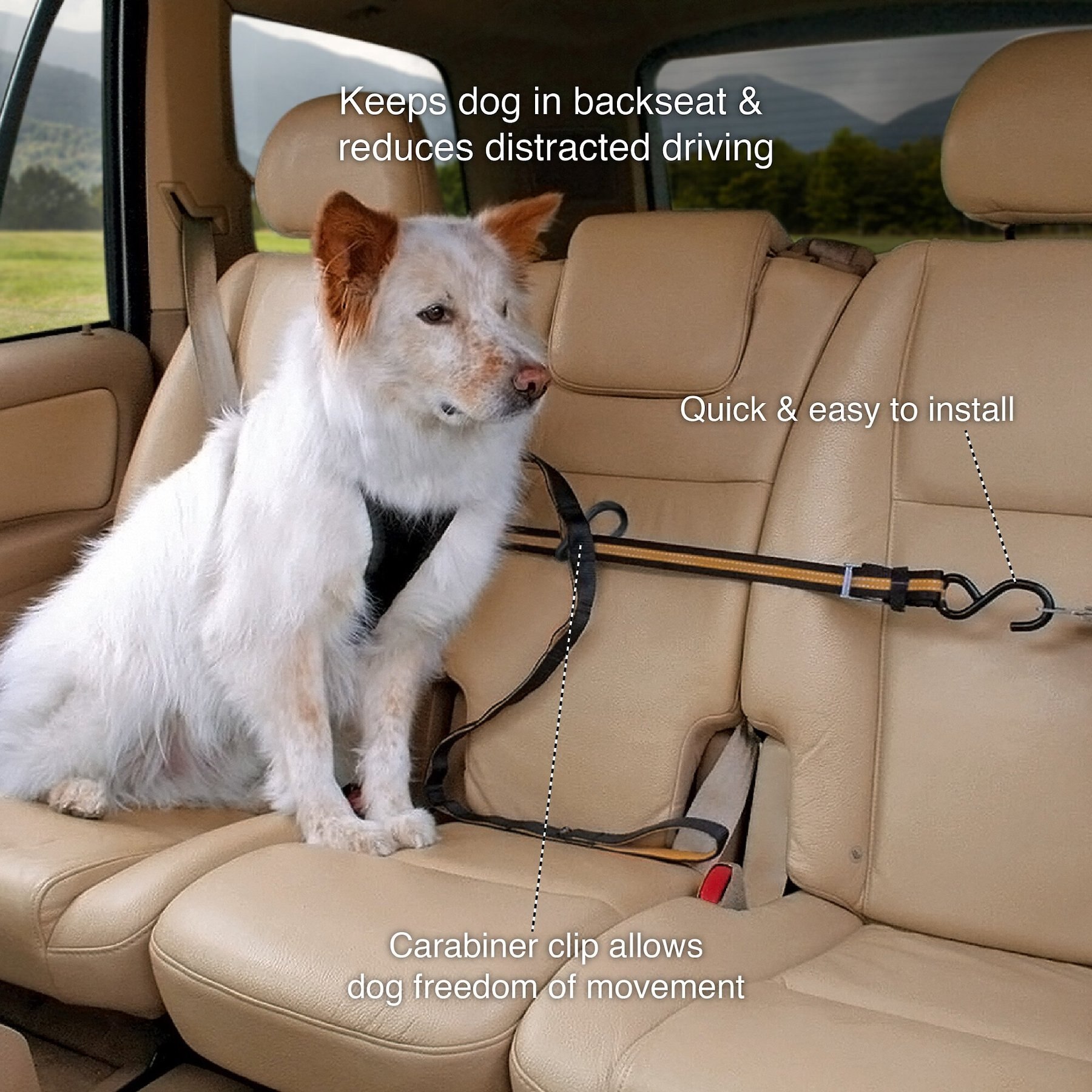 Kurgo Leash/Zipline Combo