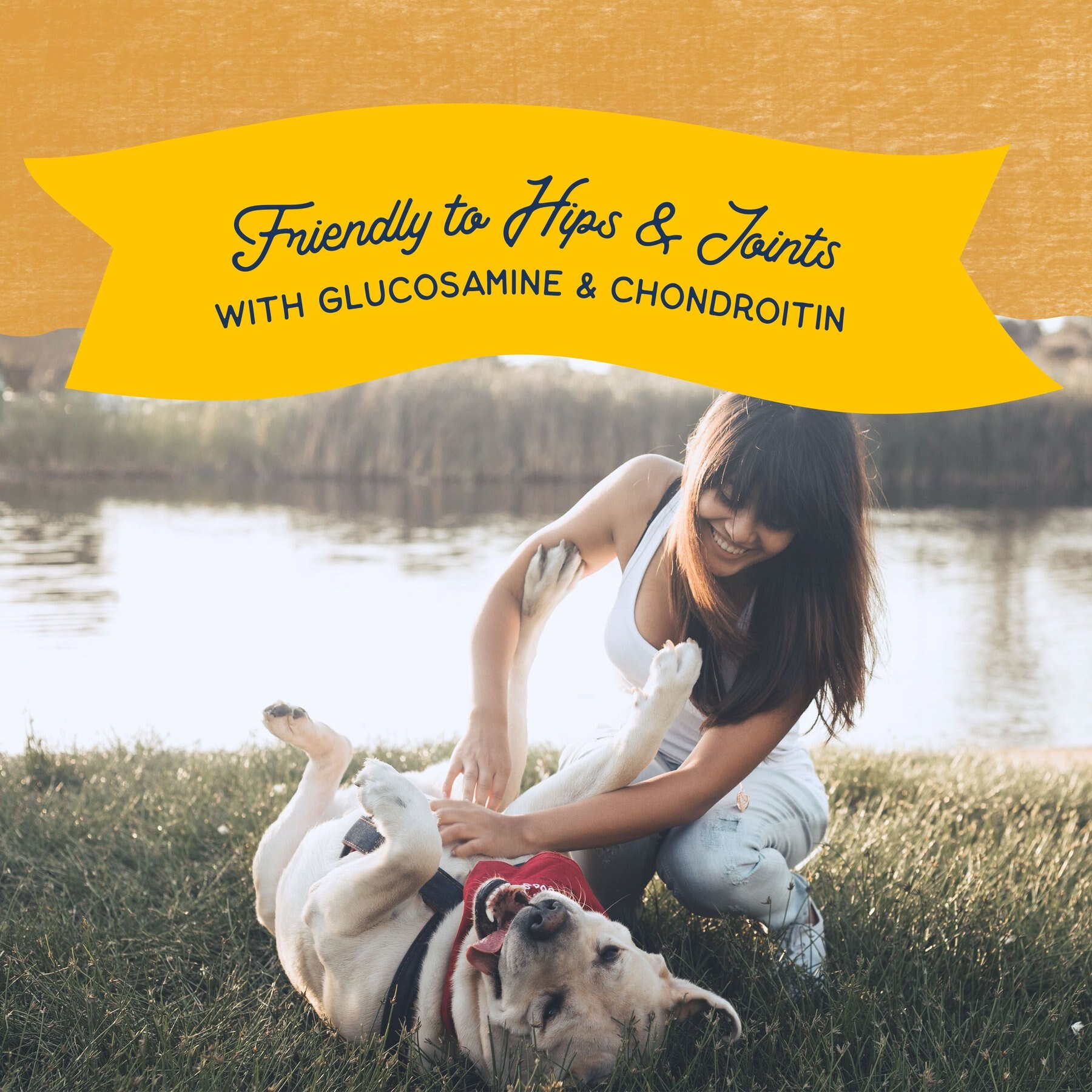 Natural Balance Rewards Jumpin' Stix with Real Duck Dog Treats