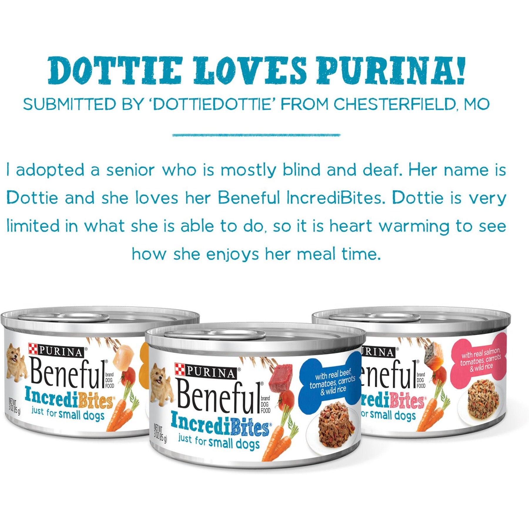 Purina Beneful IncrediBites Variety Pack Canned Dog Food