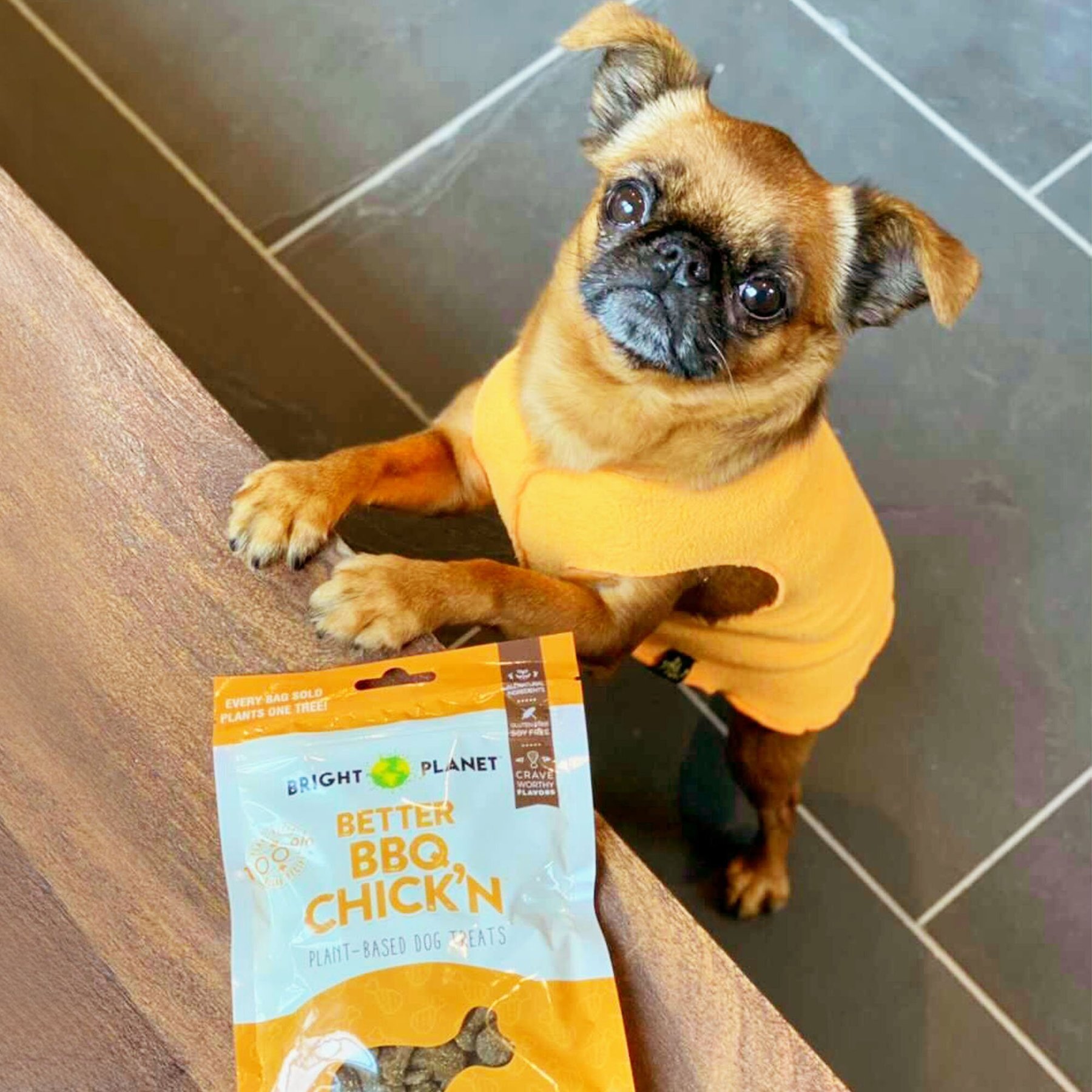 Bright Planet Pet Better BBQ Chick'n Plant-Based Dog Treats, 6-oz bag