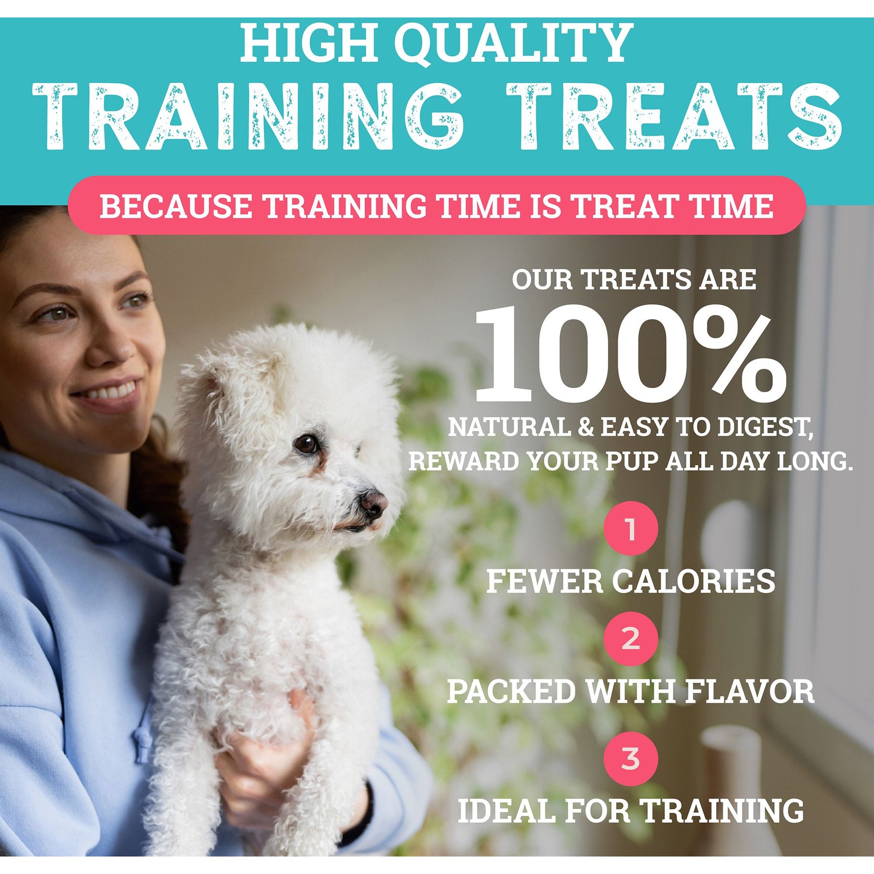 Etta Says! Sit! Training Treats Bacon Recipe Dog Treats, 6-oz bag