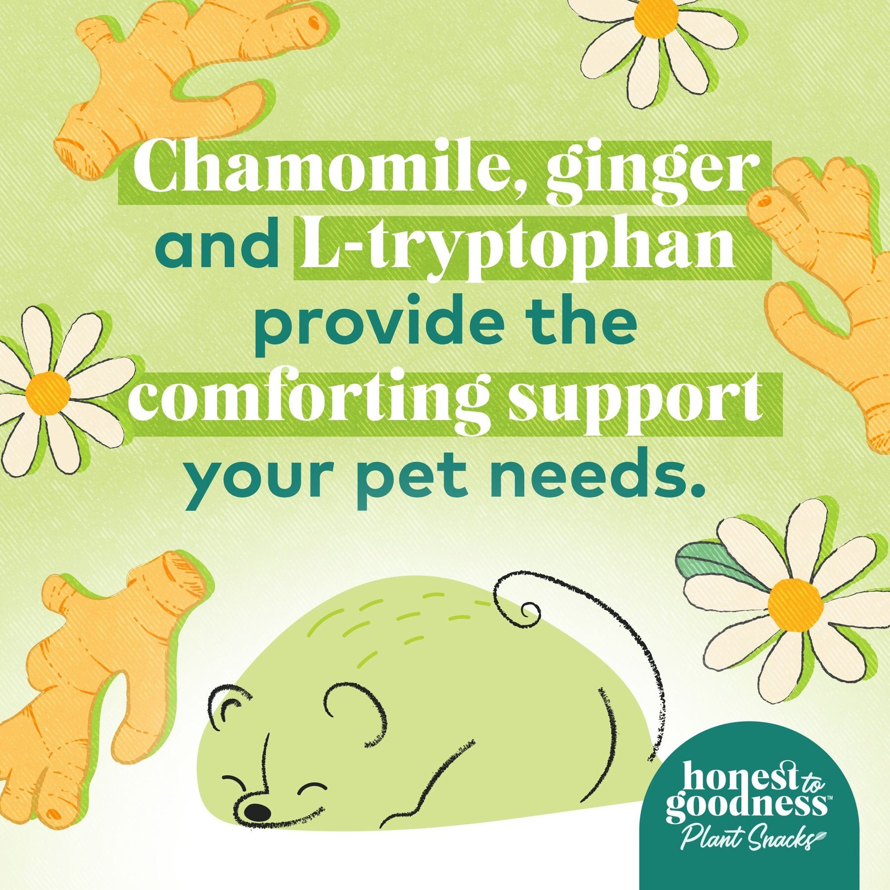 Honest To Goodness Plant Snacks Good Vibes Chamomile & Ginger Dog Treats, 8-oz bag