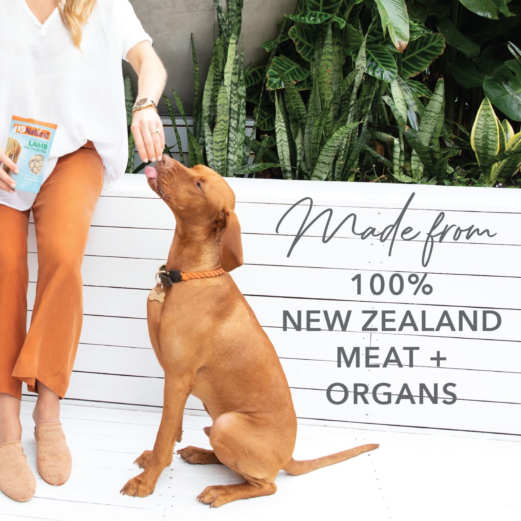 K9 Natural Beef Lung Protein Bites Air-Dried Dog Treats