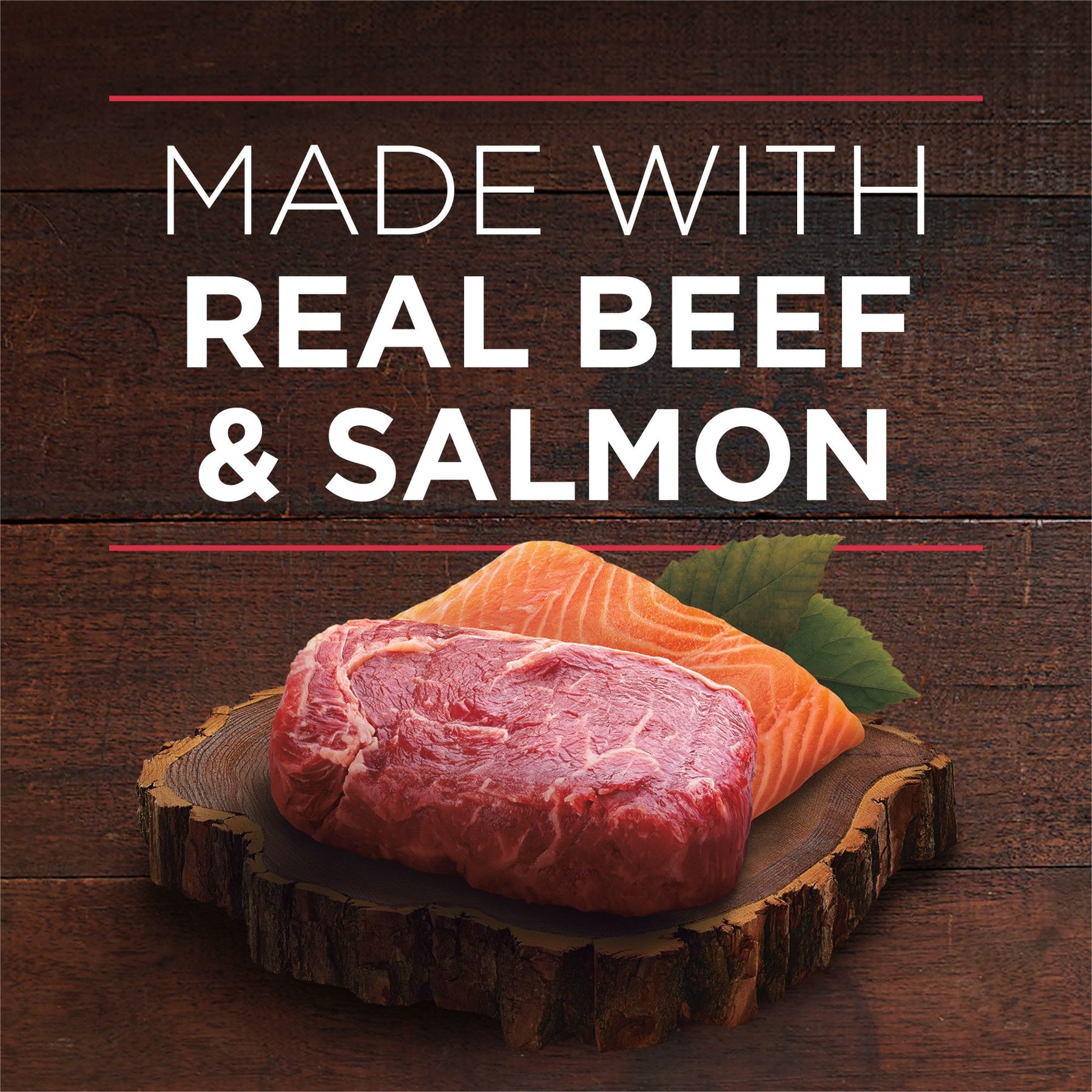 Purina ONE SmartBlend True Instinct Tender Cuts in Gravy with Real Beef & Wild-Caught Salmon Canned Dog Food