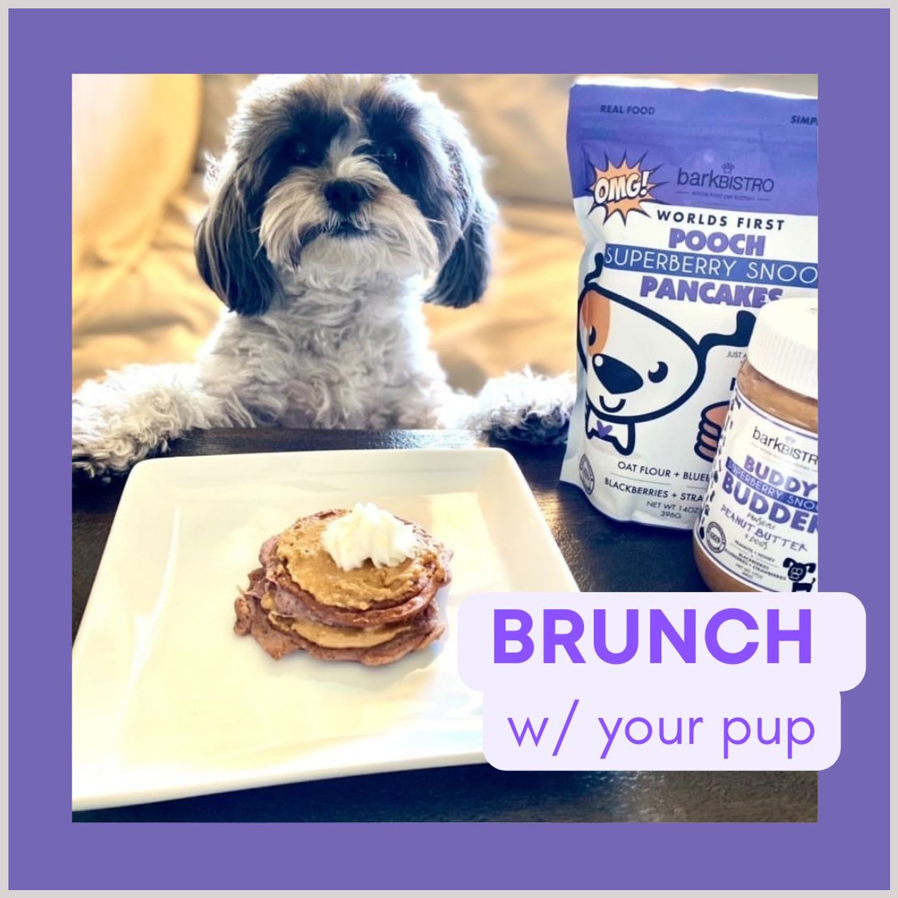 Bark Bistro Company Pooch Pancakes Superberry Snoot Dog Treat, 14-oz bag