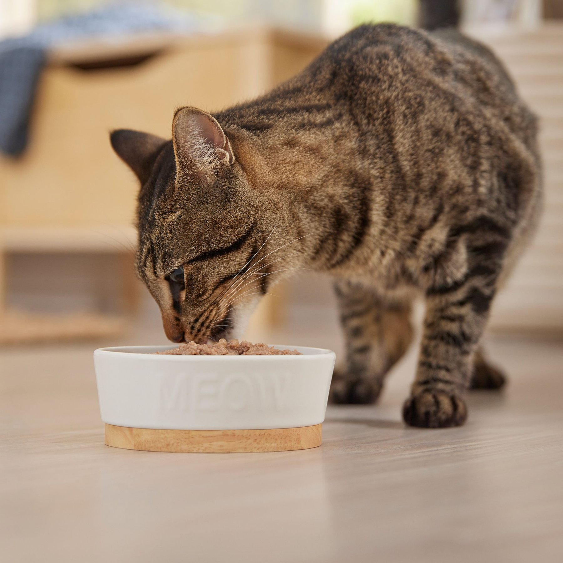 Evanger's Grain-Free Beef Canned Dog & Cat Food