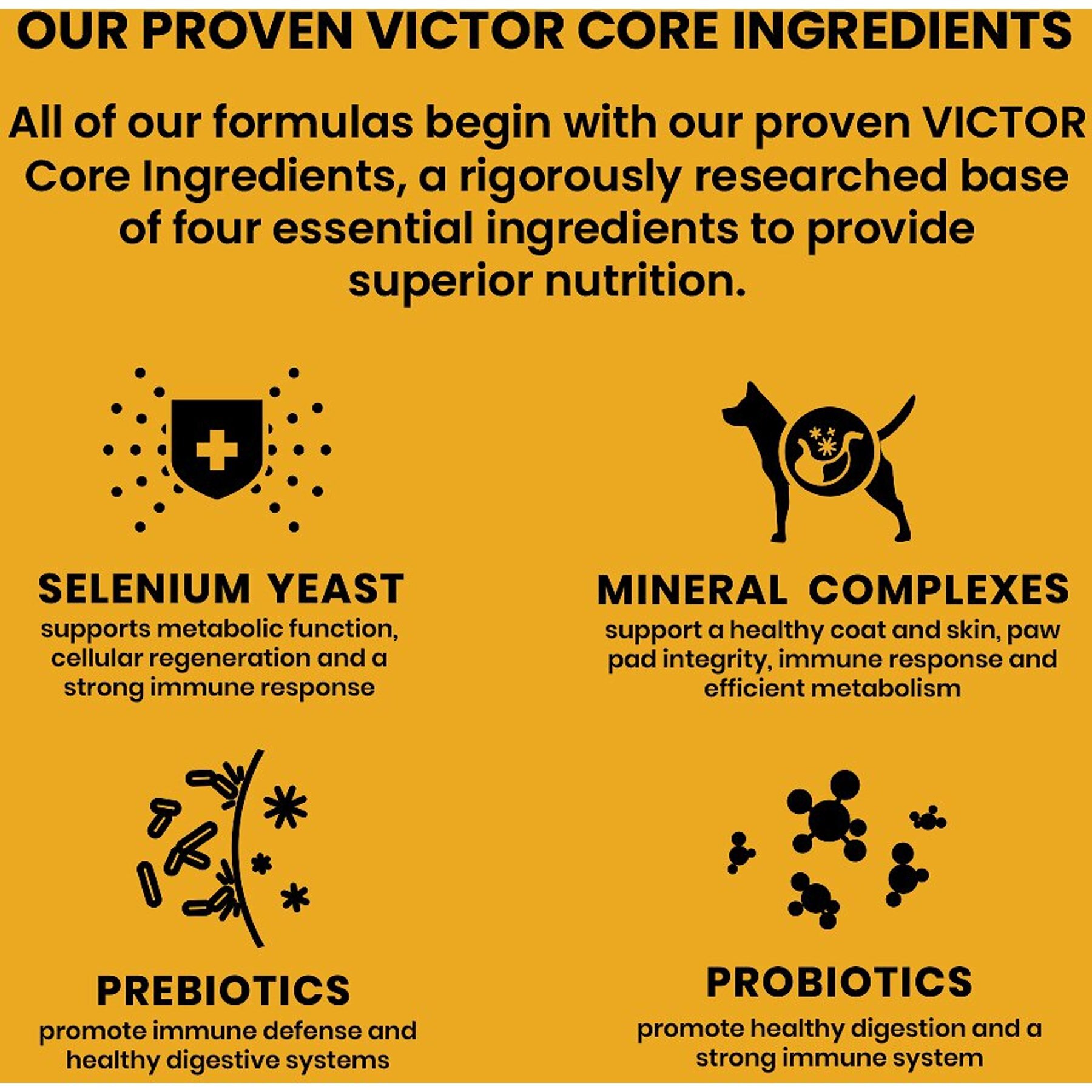 VICTOR Crunchy Treats Chicken Meal Dog Treats