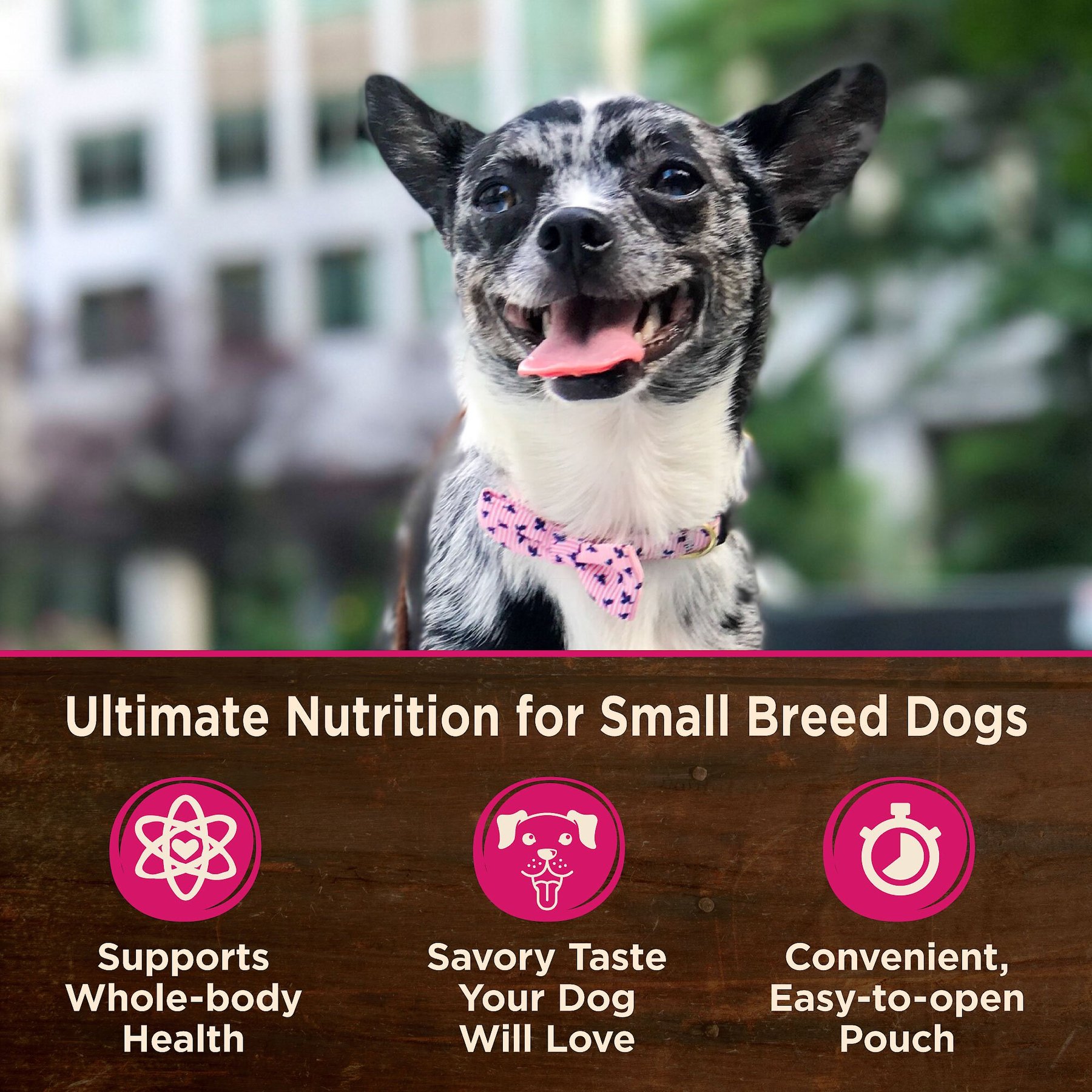 Wellness CORE Grain-Free Small Breed Mini Meals Chunky Chicken & Chicken Liver in Gravy Dog Food Pouches
