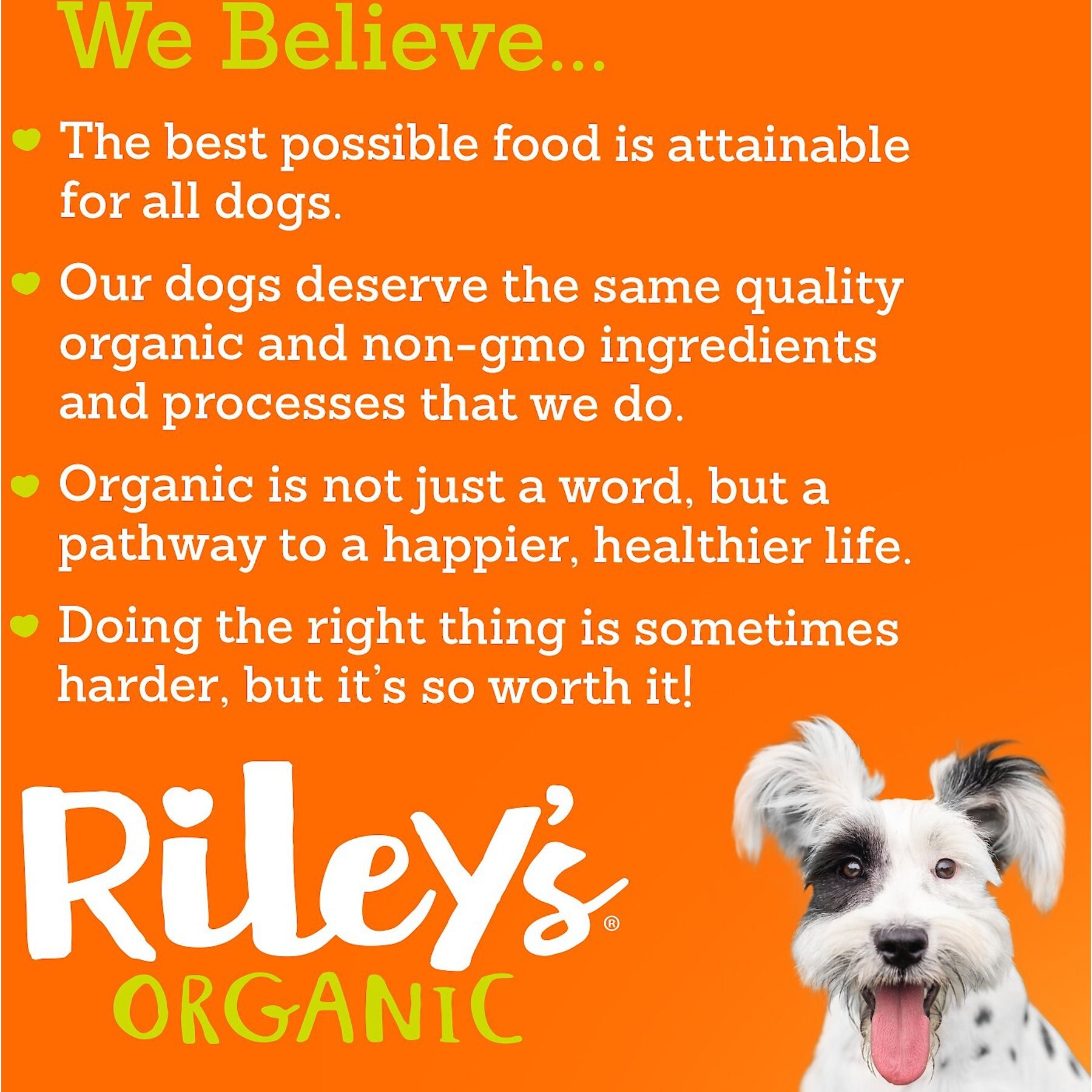 Riley's Sweet Potato Recipe Biscuit Dog Treat, 5-oz bag, Small