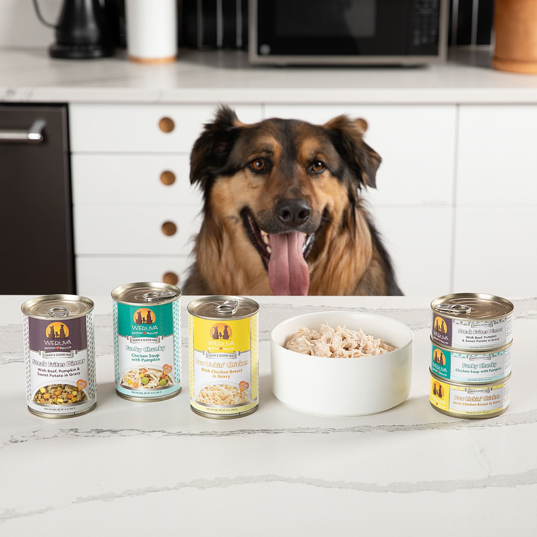 Weruva Bed & Breakfast with Chicken, Egg, Pumpkin & Ham in Gravy Grain-Free Canned Dog Food