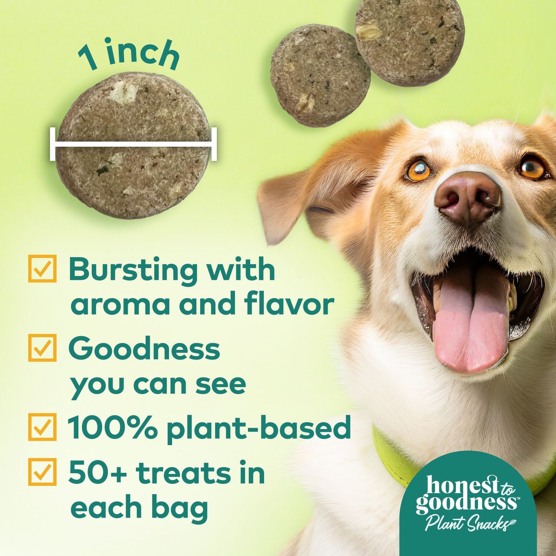 Honest To Goodness Plant Snacks Good Vibes Chamomile & Ginger Dog Treats, 8-oz bag