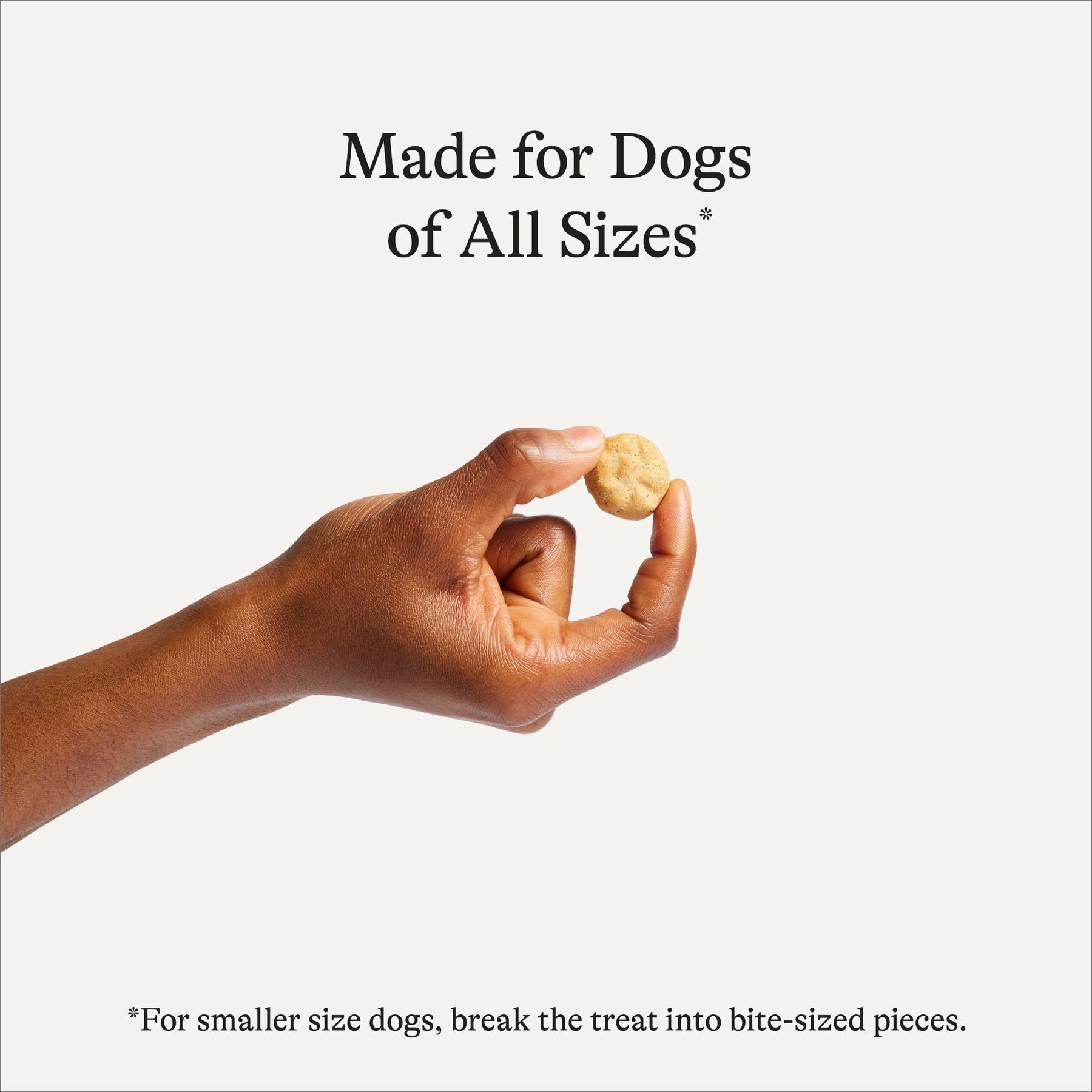 American Journey Sausage, Egg & Cheese Flavor Grain-Free Oven Baked Crunchy Biscuit Dog Treats