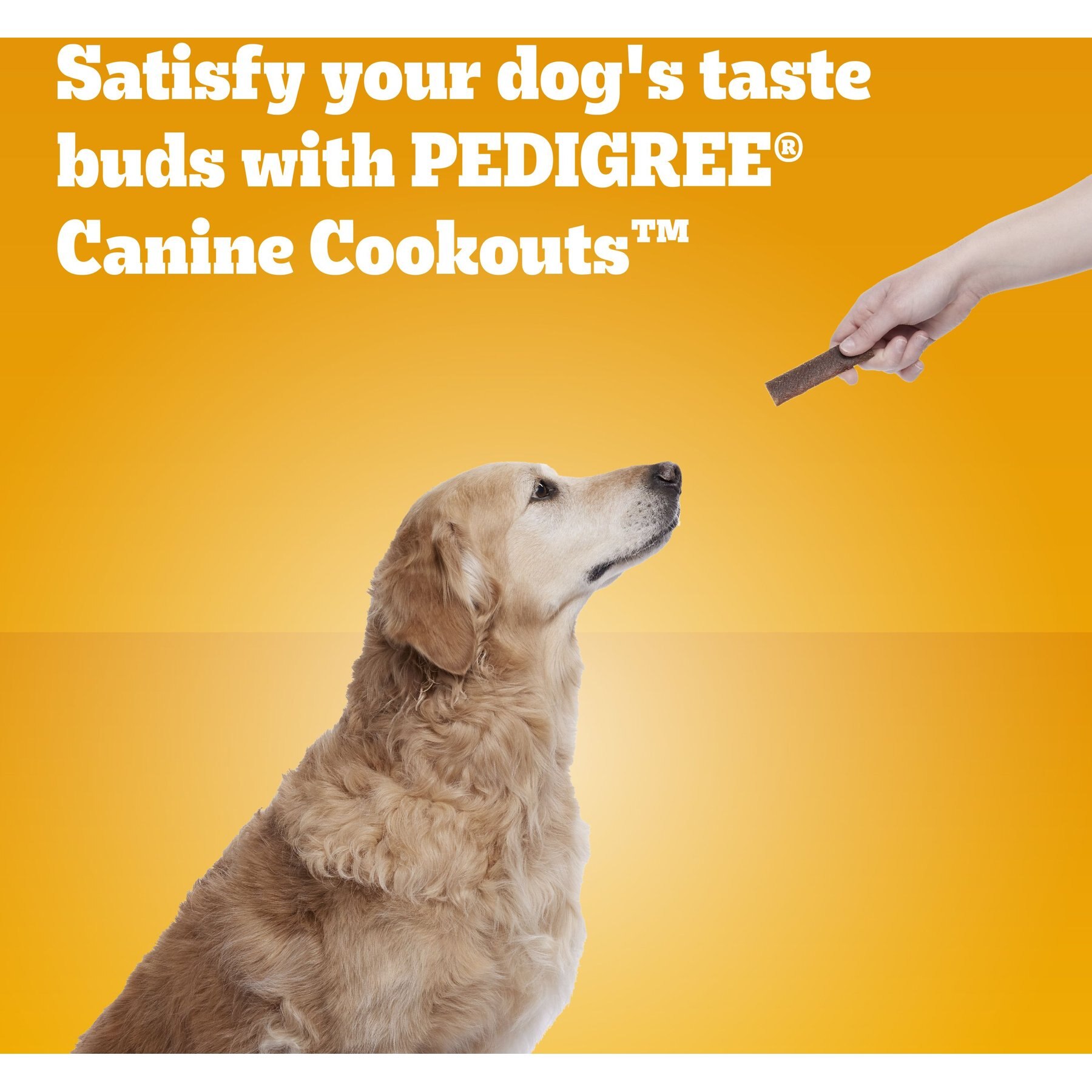 Pedigree Canine Cookout Beef Flavored High-Protein Adult Meaty Strips Soft Dog Treats