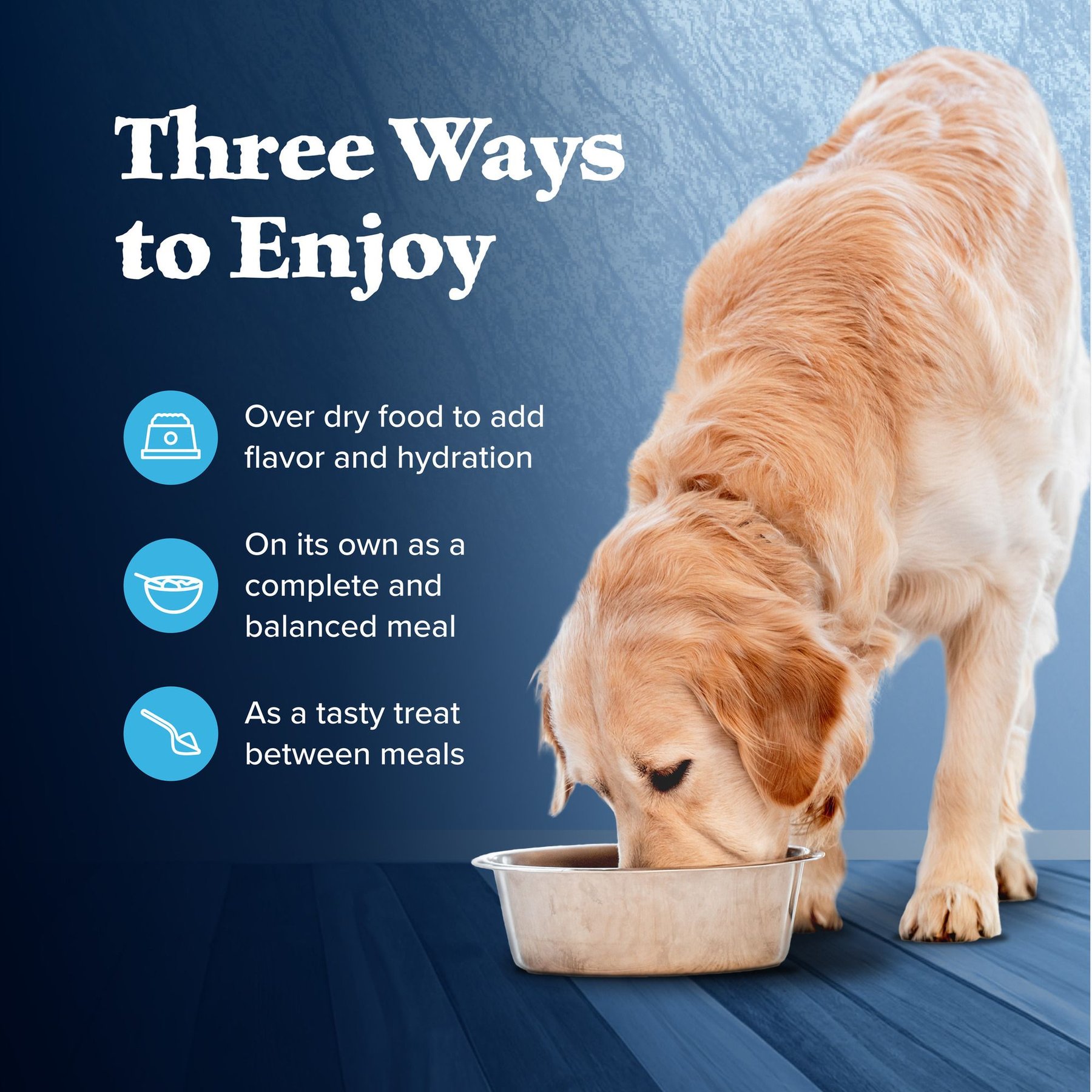 Blue Buffalo Wilderness Turkey & Chicken Grill Grain-Free Canned Dog Food