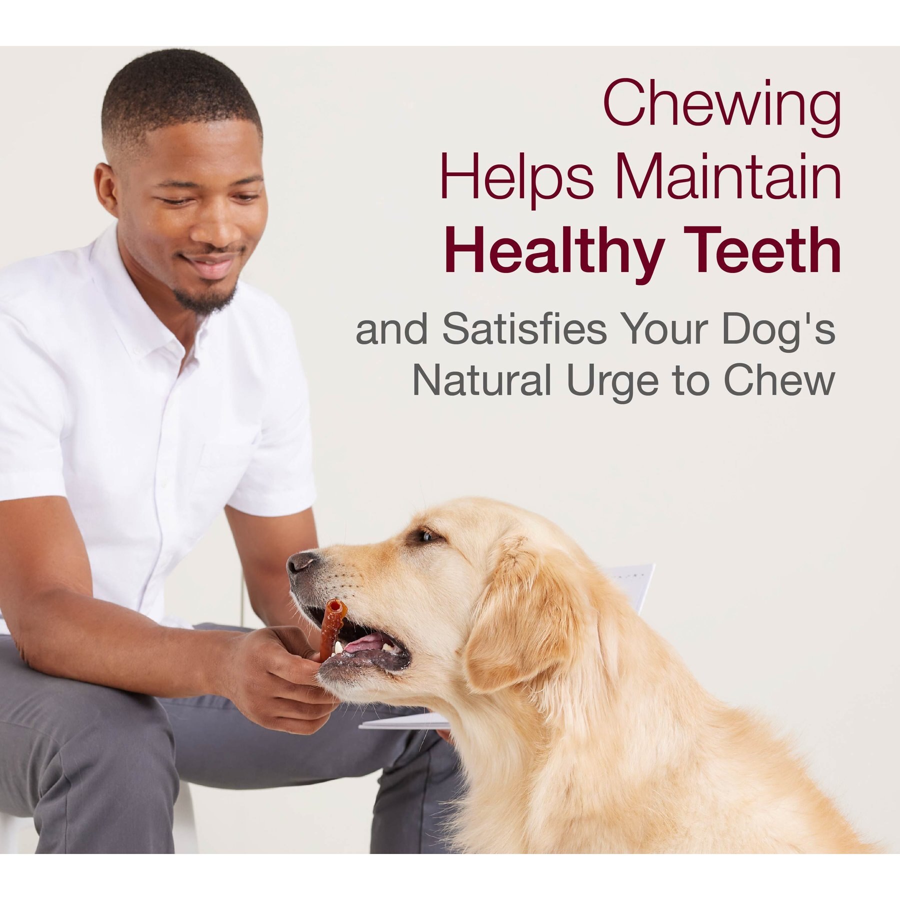 SmartBones Stuffed Twistz Peanut Butter Chews Dog Treats