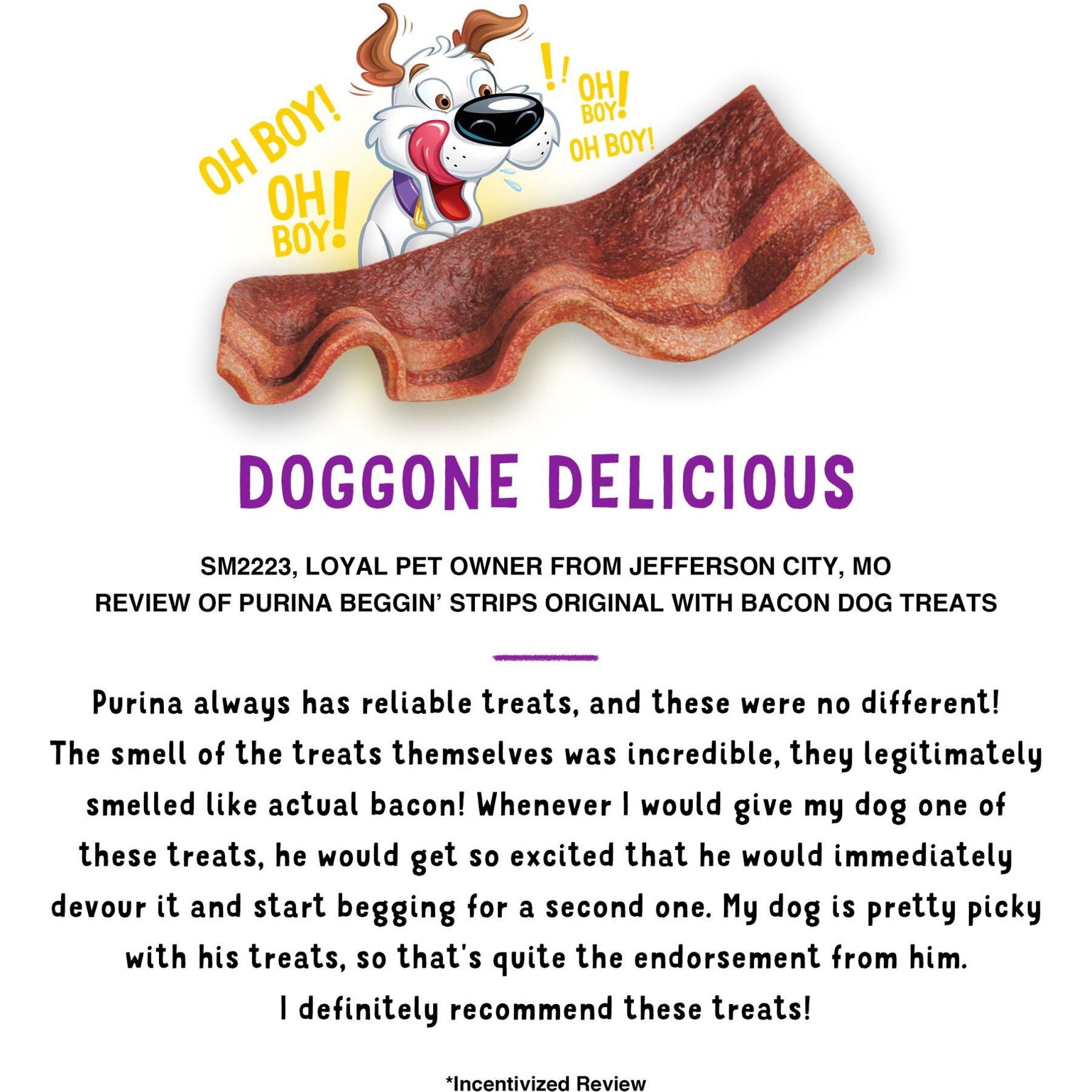 Purina Beggin' Strips Original with Bacon Flavored Dog Treats