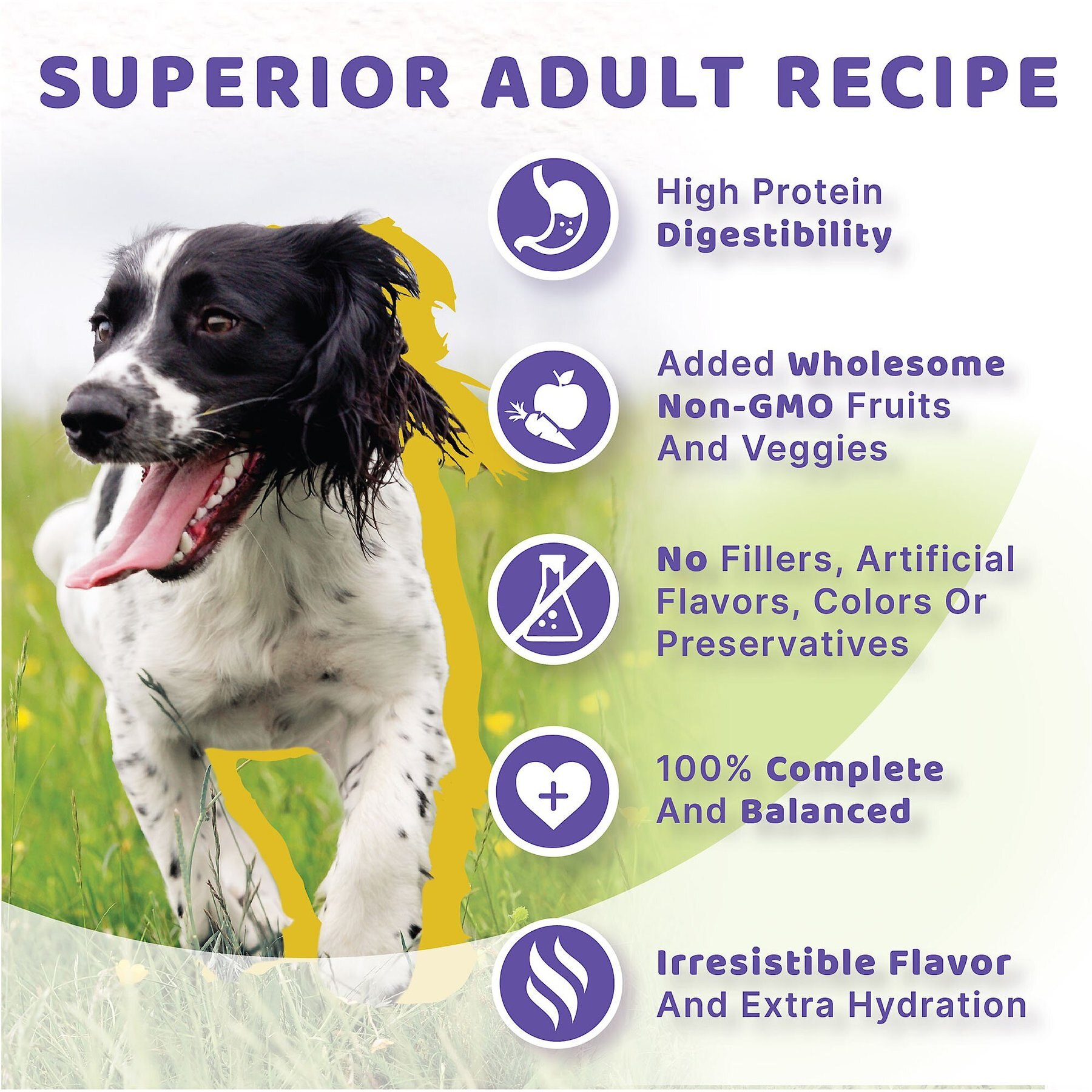 Halo Holistic Turkey & Salmon Recipe Adult Canned Dog Food