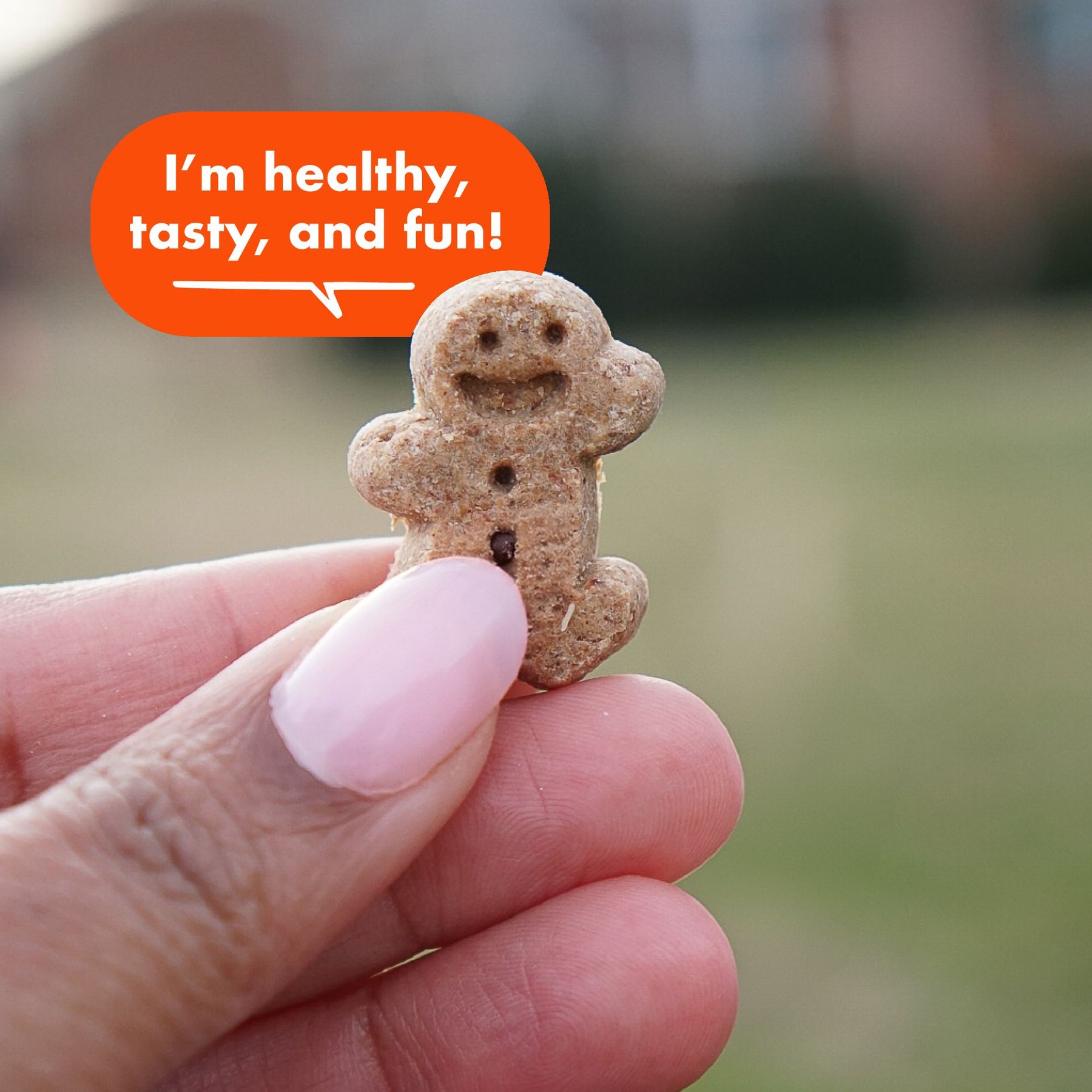 Buddy Biscuits Original Soft & Chewy with Peanut Butter Dog Treats