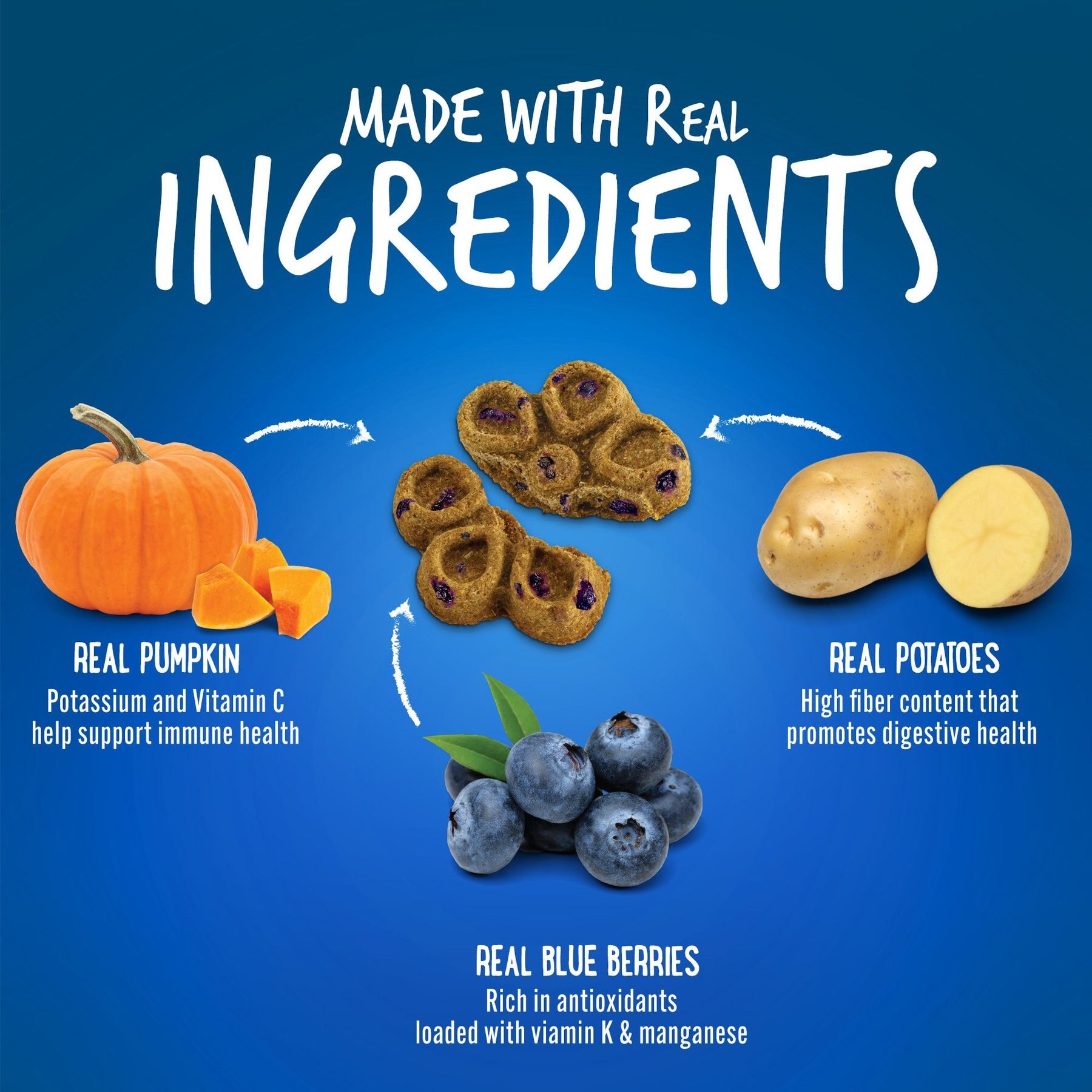 Fruitables Biggies with Real Pumpkin & Blueberry Dog Treats, 16-oz bag