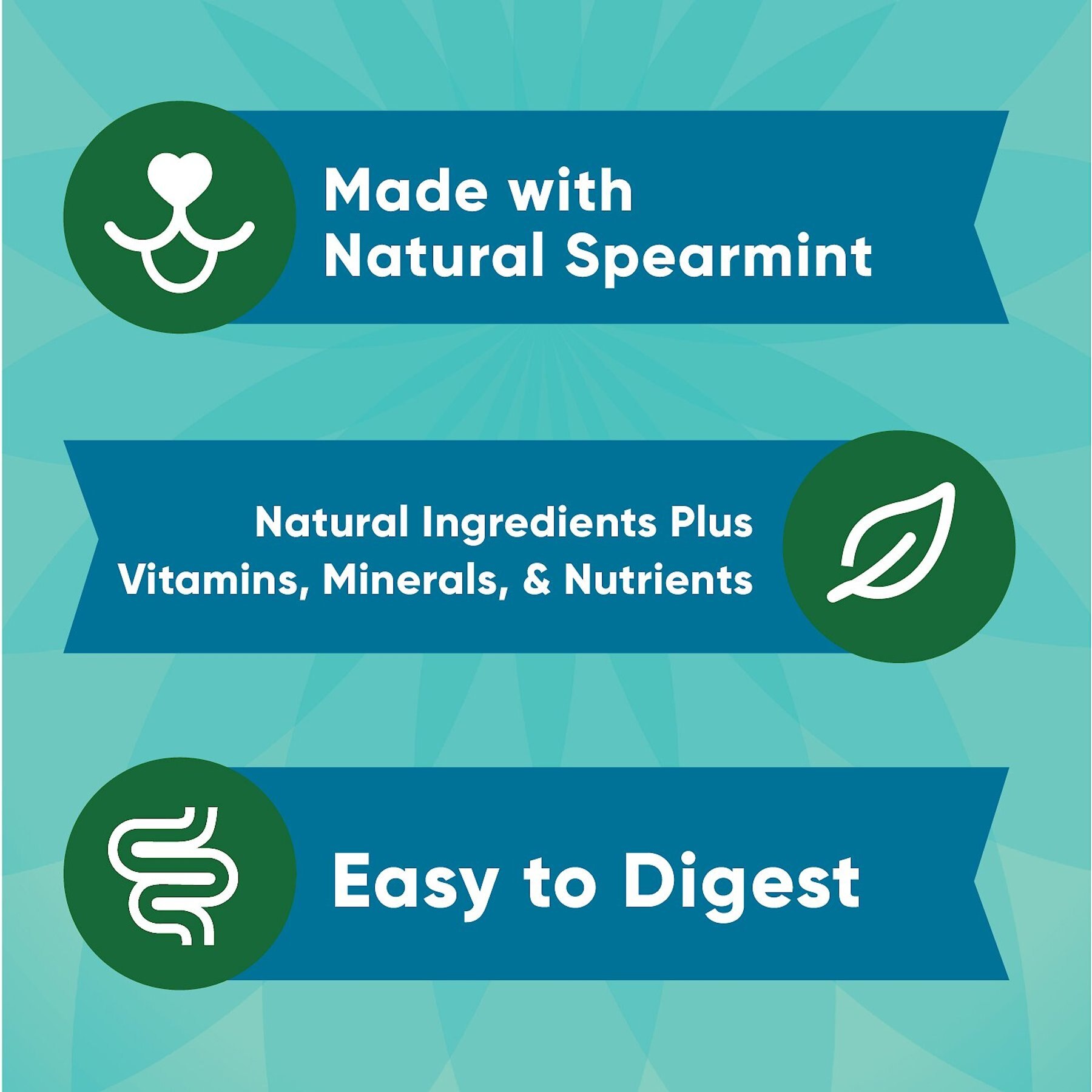 Greenies Anytime Bites Mint Flavor Soft & Chewy Dog Treat