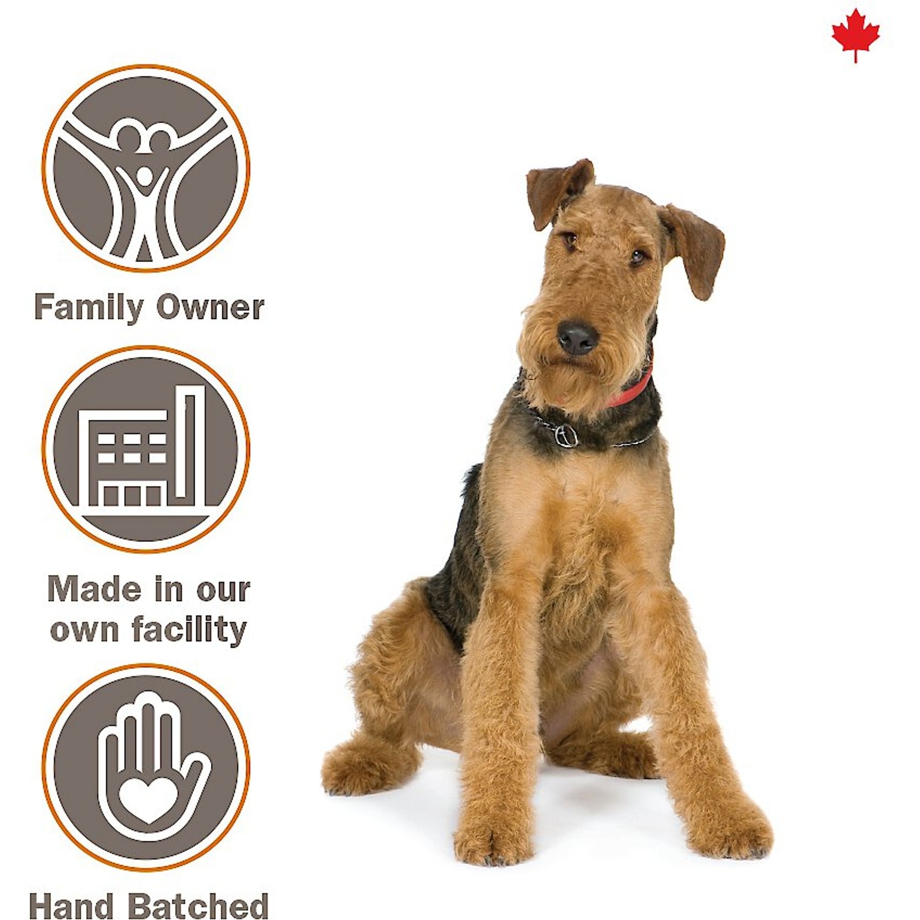 Crumps' Naturals Sweet Potato Chews Dog Treats