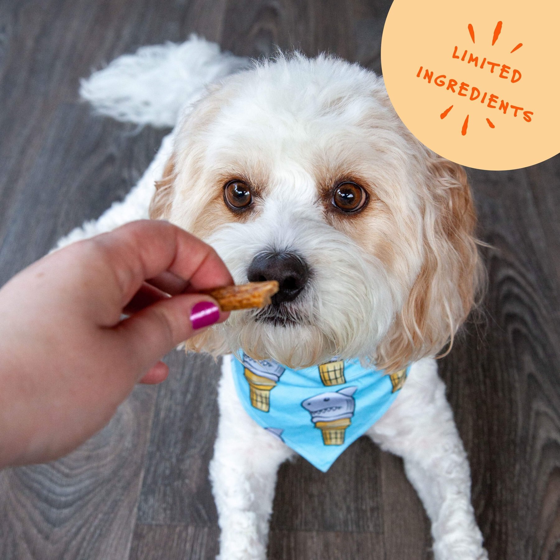 Bocce's Bakery Grazers Turkey Jerky Dog Treats, 4-oz pouch