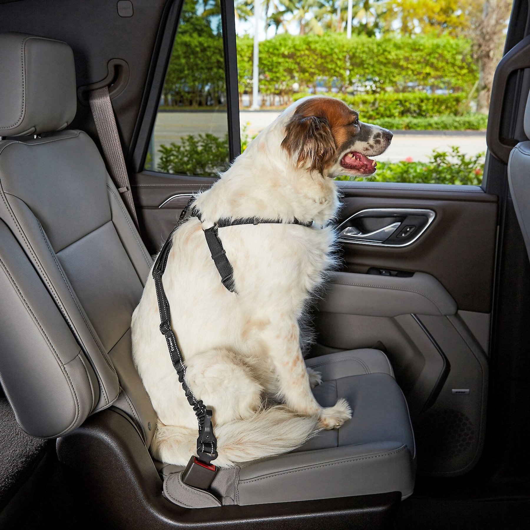 Frisco Adjustable Dog Seatbelt Tether & Frisco Quilted Water Resistant Hammock Car Seat Cover