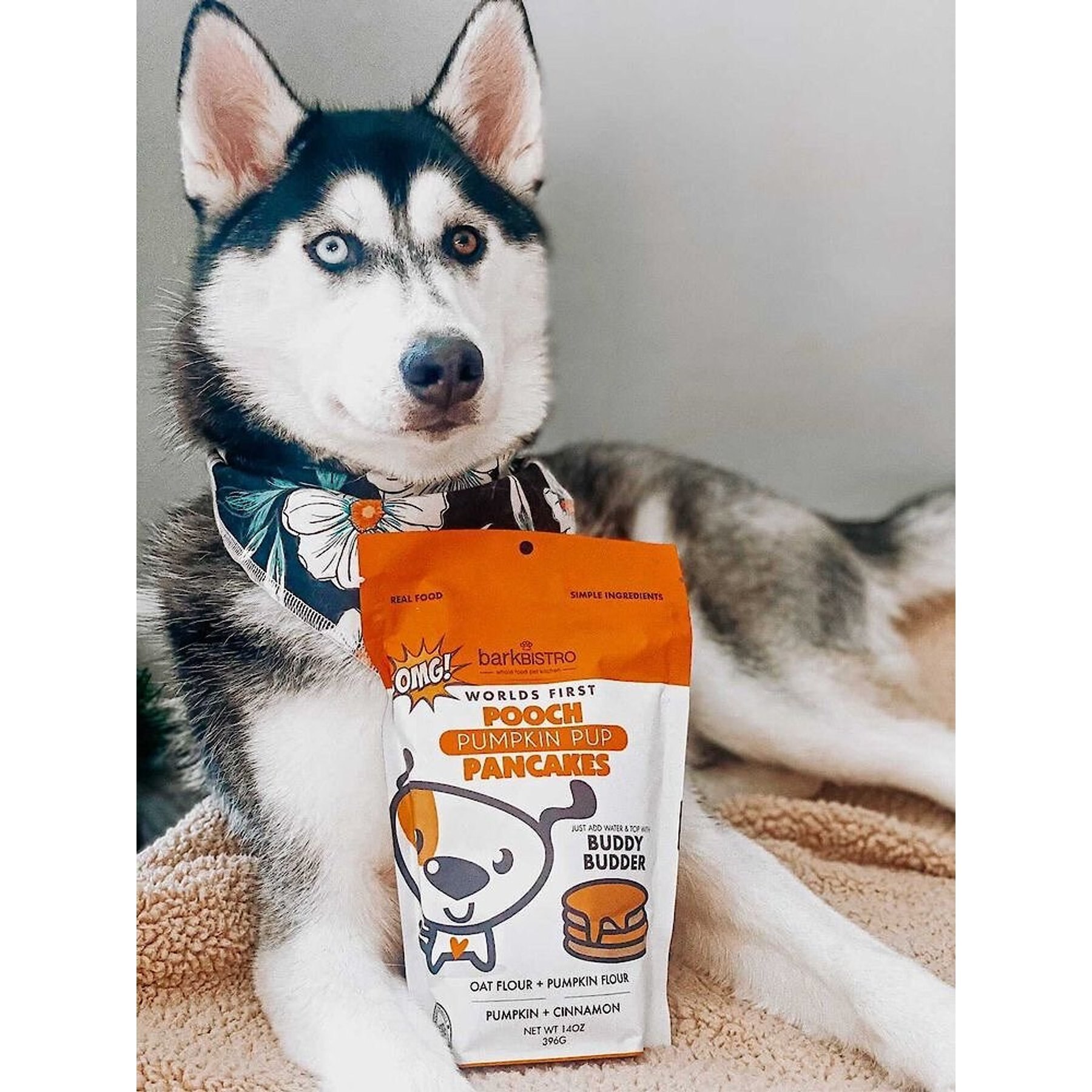 Bark Bistro Company Pooch Pancakes Pumpkin Pup Dog Treat, 14-oz bag