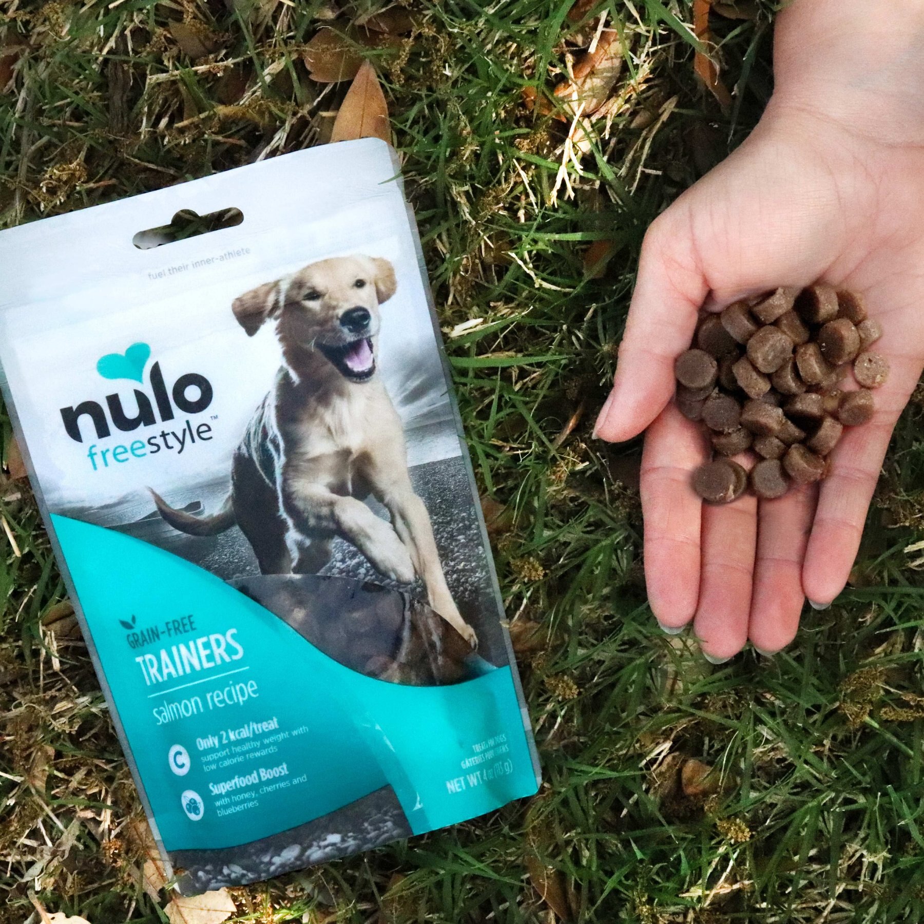 Nulo Salmon Recipe Grain-Free Dog Training Treats