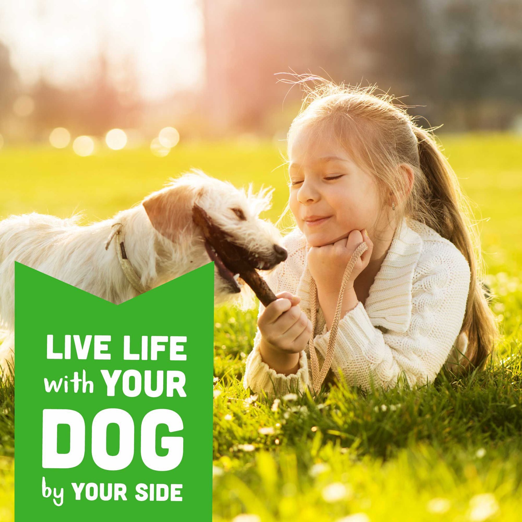 Cloud Star Wag More Bark Less Soft Chews with Chicken & Sweet Potato Grain-Free Dog Treats