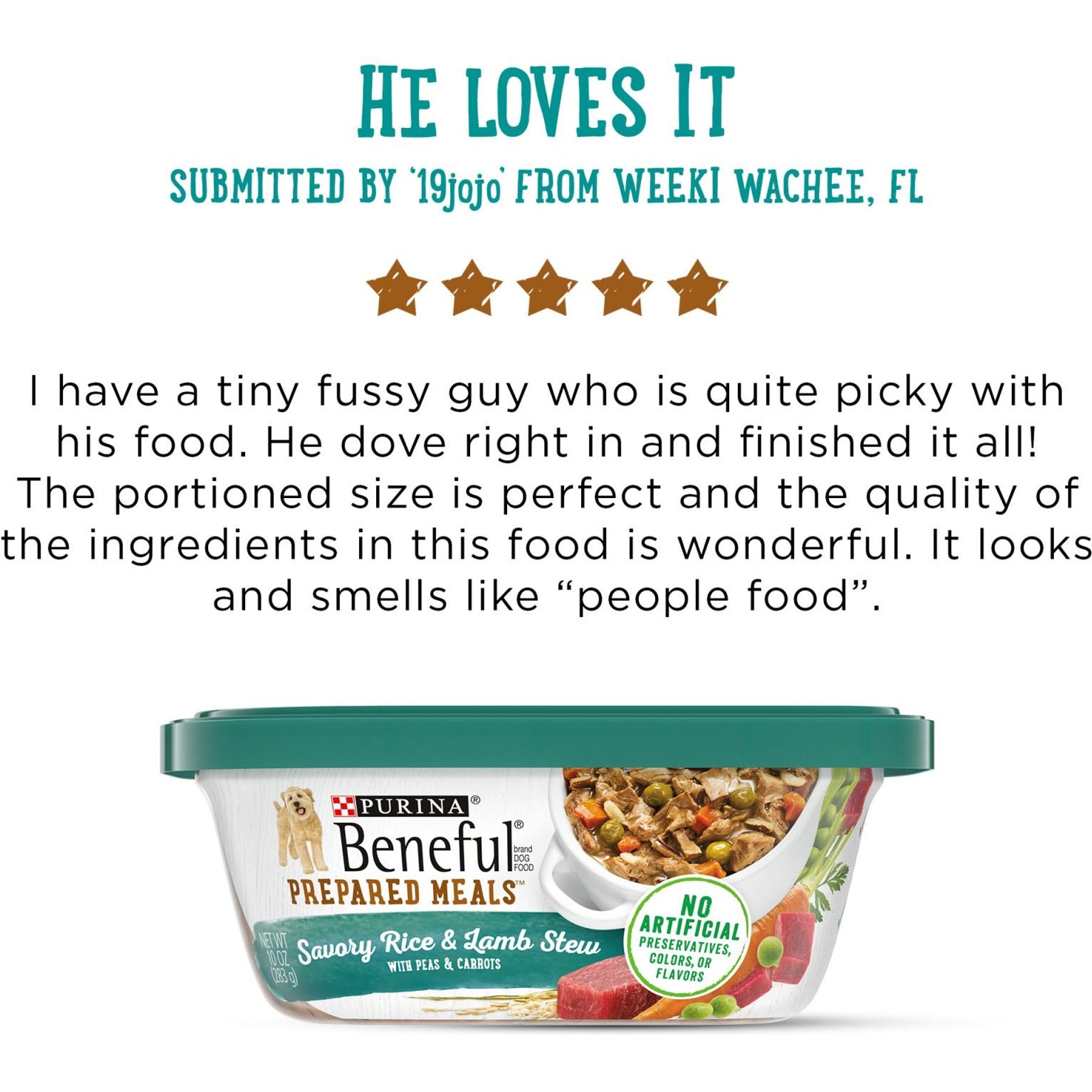 Purina Beneful Prepared Meals Savory Rice & Lamb Stew with Peas & Carrots Wet Dog Food
