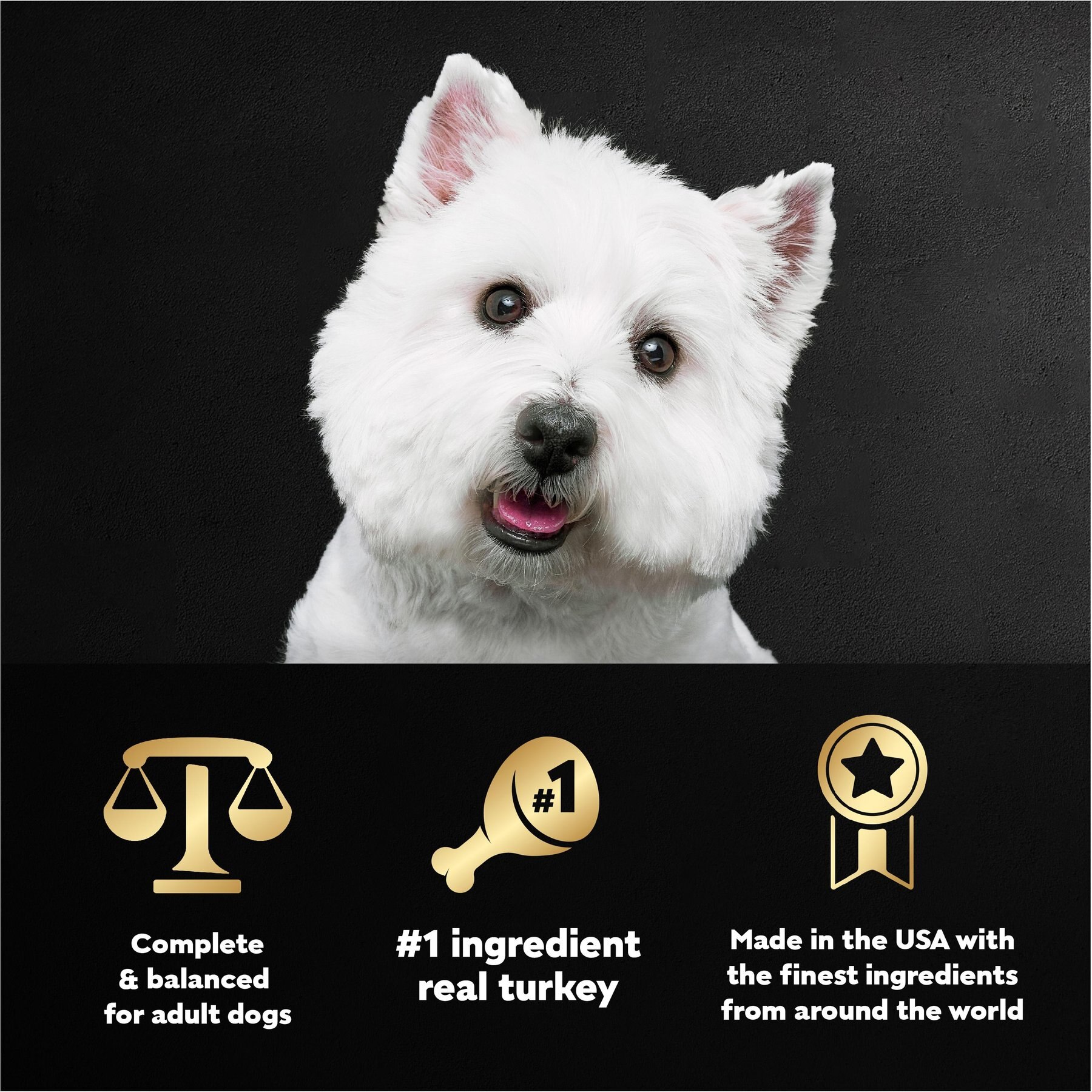 Cesar Turkey Recipe Filets in Gravy Small Breed Adult Wet Dog Food Trays