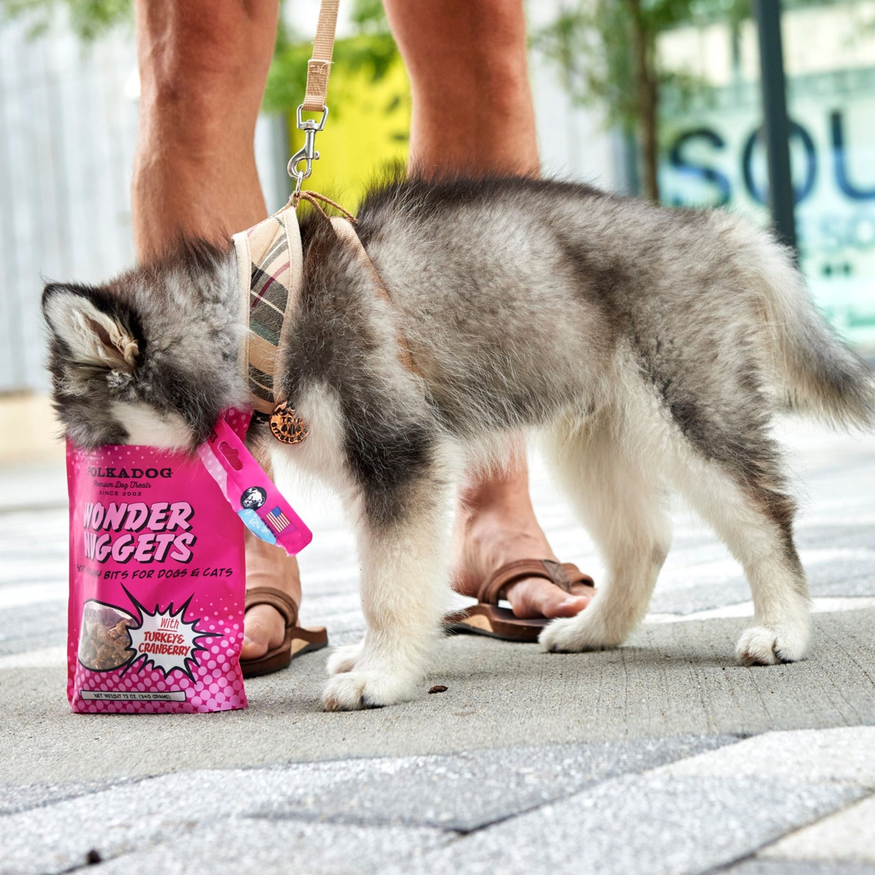 Polkadog Wonder Nuggets Turkey & Cranberry Flavor Soft & Chewy Dog Treats