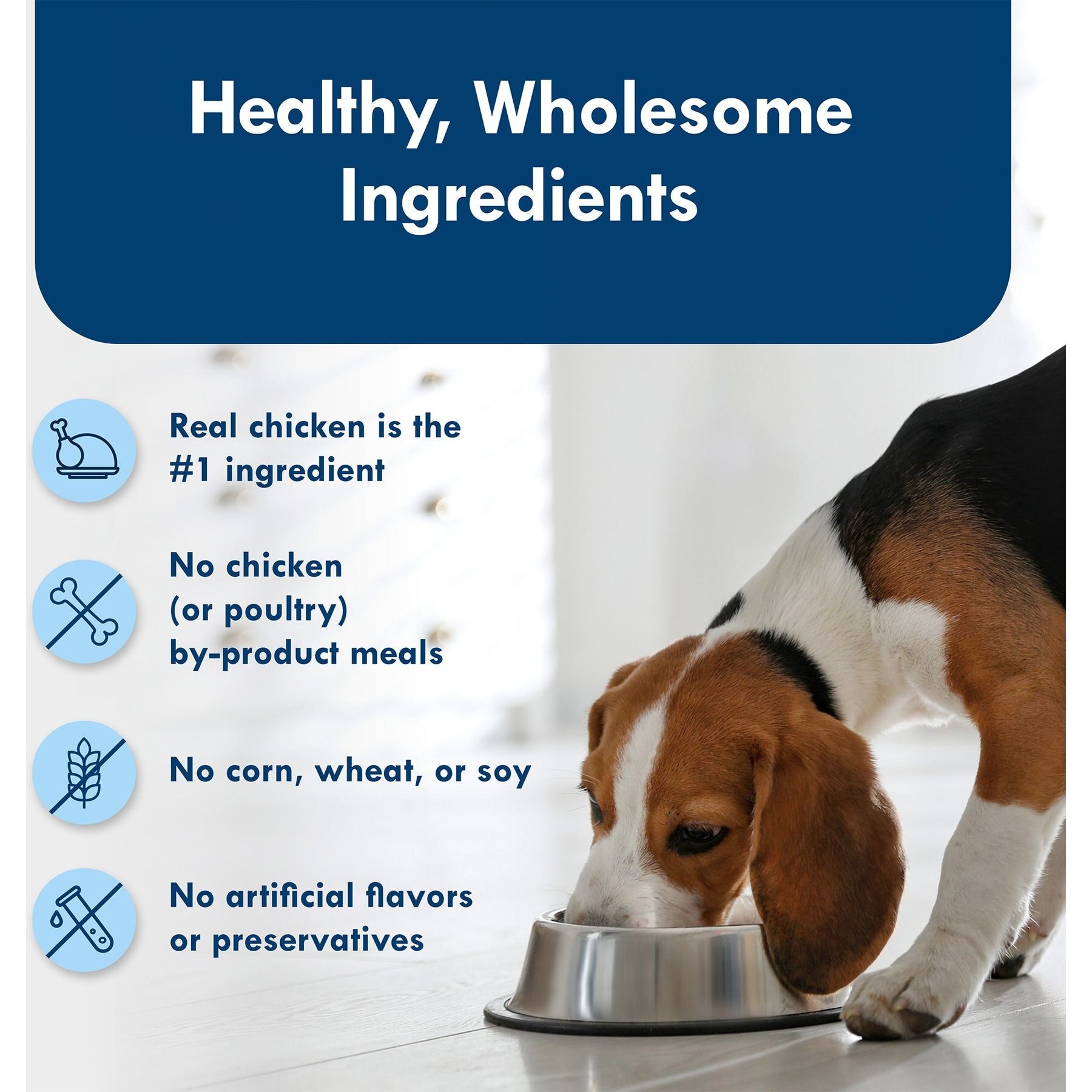Blue Buffalo Divine Delights Rotisserie Chicken Flavor in Hearty Gravy Small Breed Wet Dog Food