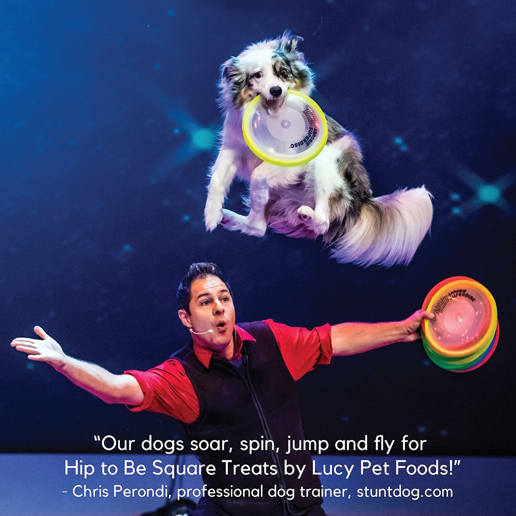 Lucy Pet Products Hip To Be Square Duck & Pumpkin Formula Grain-Free Dog Treats