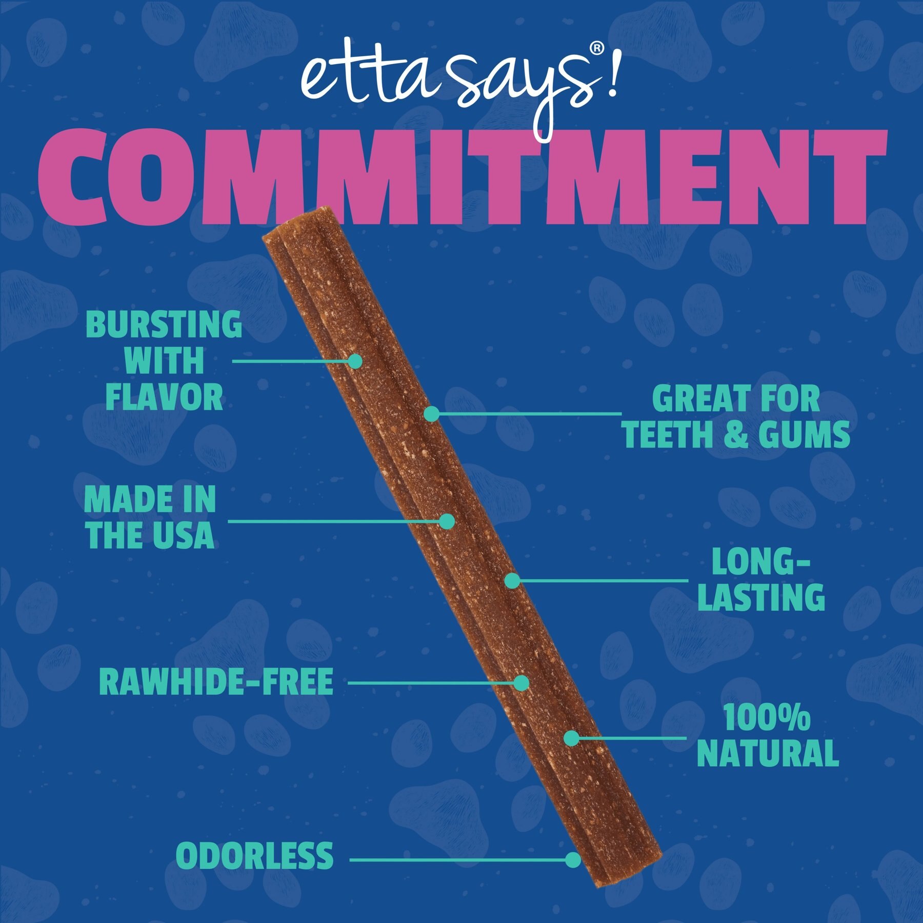Etta Says! Fusion Gourmet Adult Turkey & Beets Flavor Natural Dog Chew Treats, 12 count