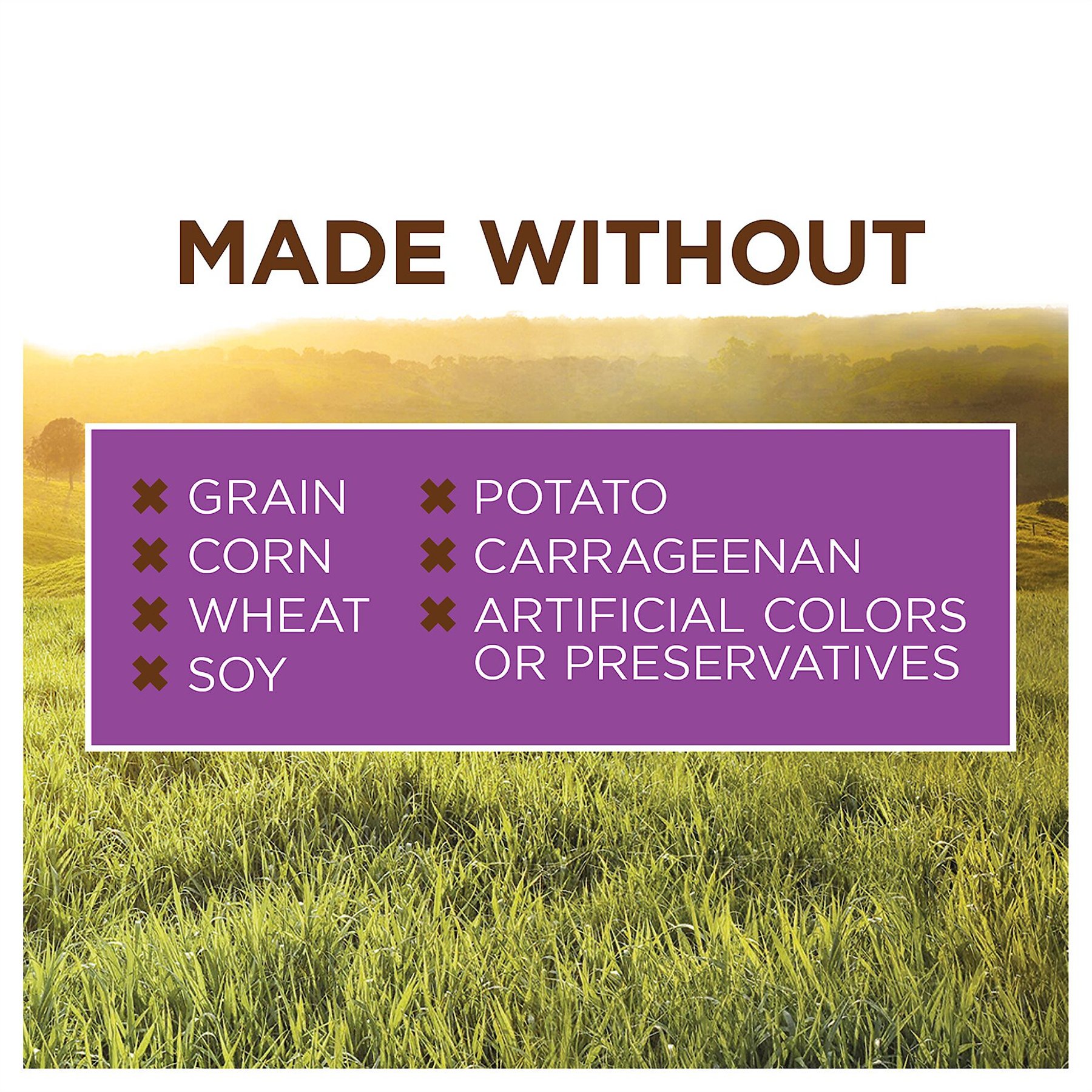 Instinct Original Adult Grain-Free Real Rabbit Recipe Wet Dog Food