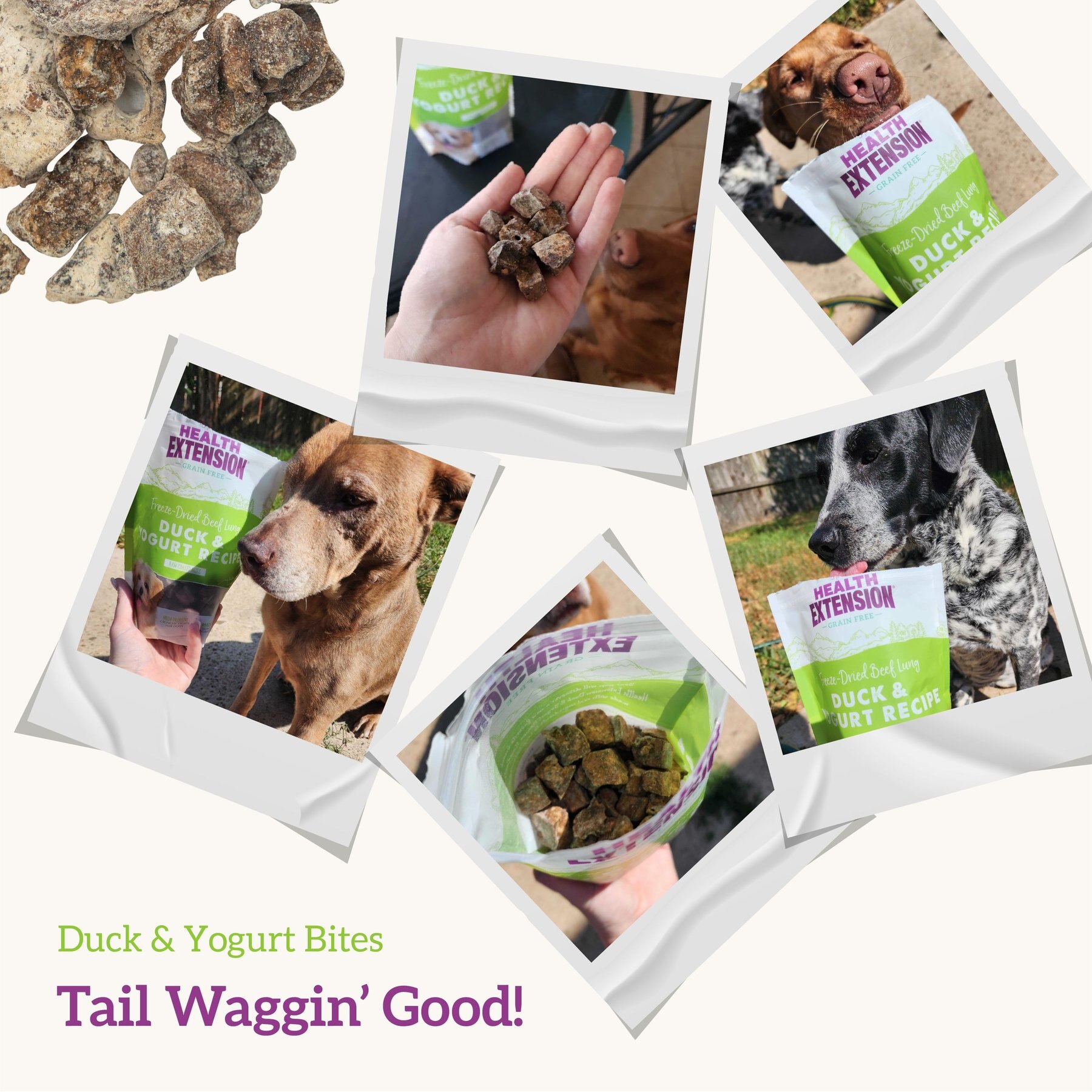 Health Extension Bully Puffs Grain-Free Duck & Yogurt Dog Treats