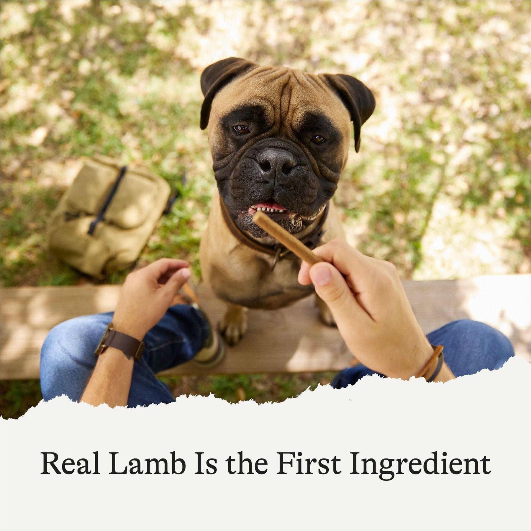 American Journey Lamb Recipe Grain-Free Soft & Chewy Snacking Sticks Dog Treats, 6-oz bag