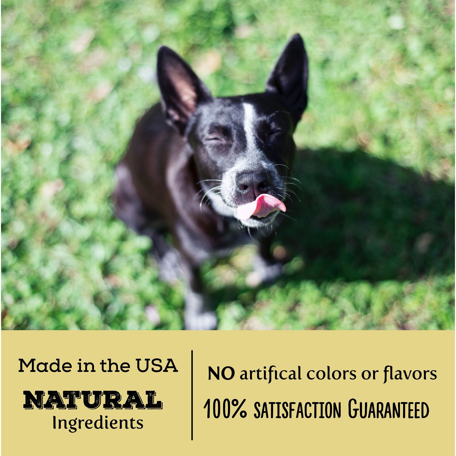 Exclusively Dog Best Buddy Bits Beef & Liver Flavor Dog Treats