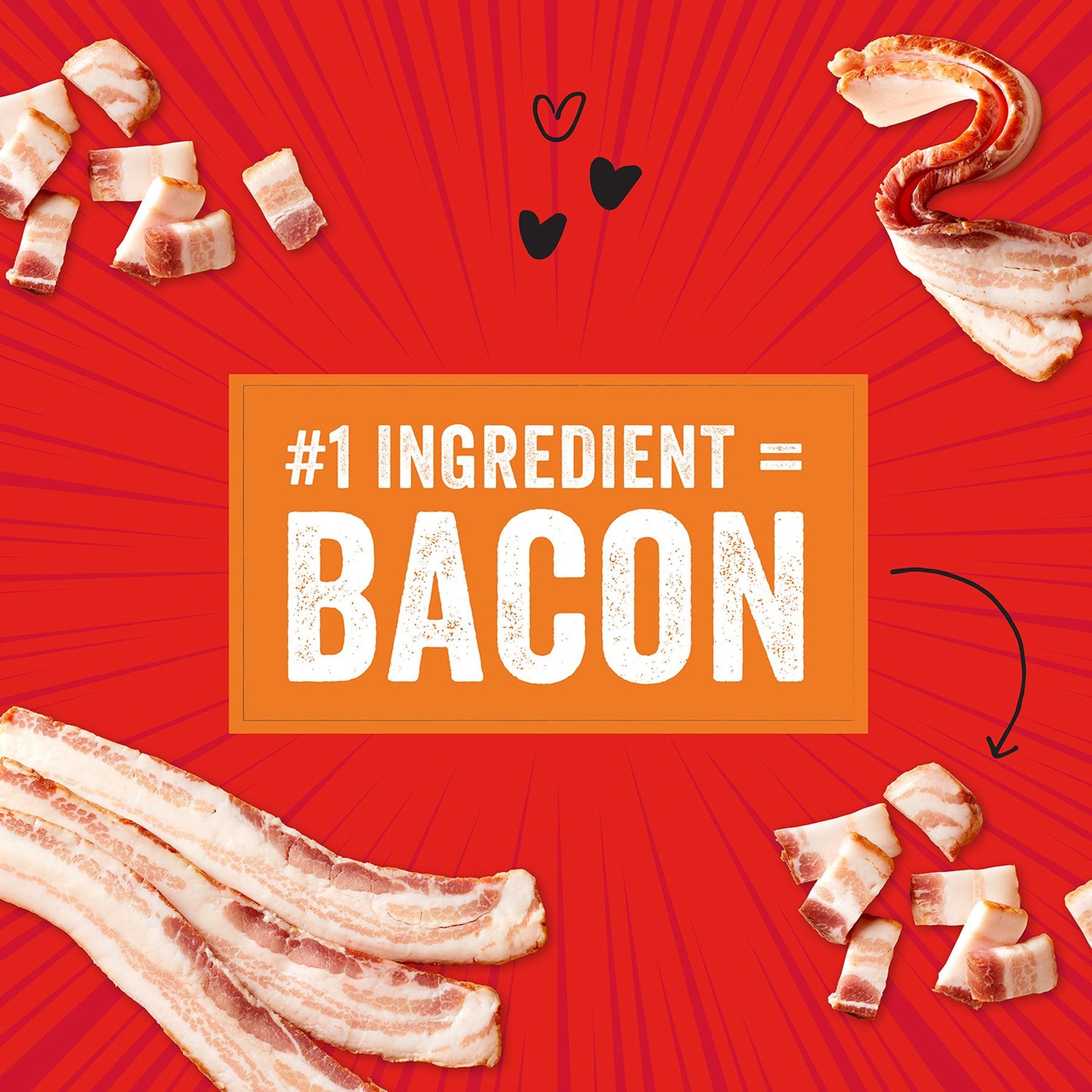 Stella & Chewy's Crav'n Bac'n Bites Bacon & Beef Recipe Dog Treats