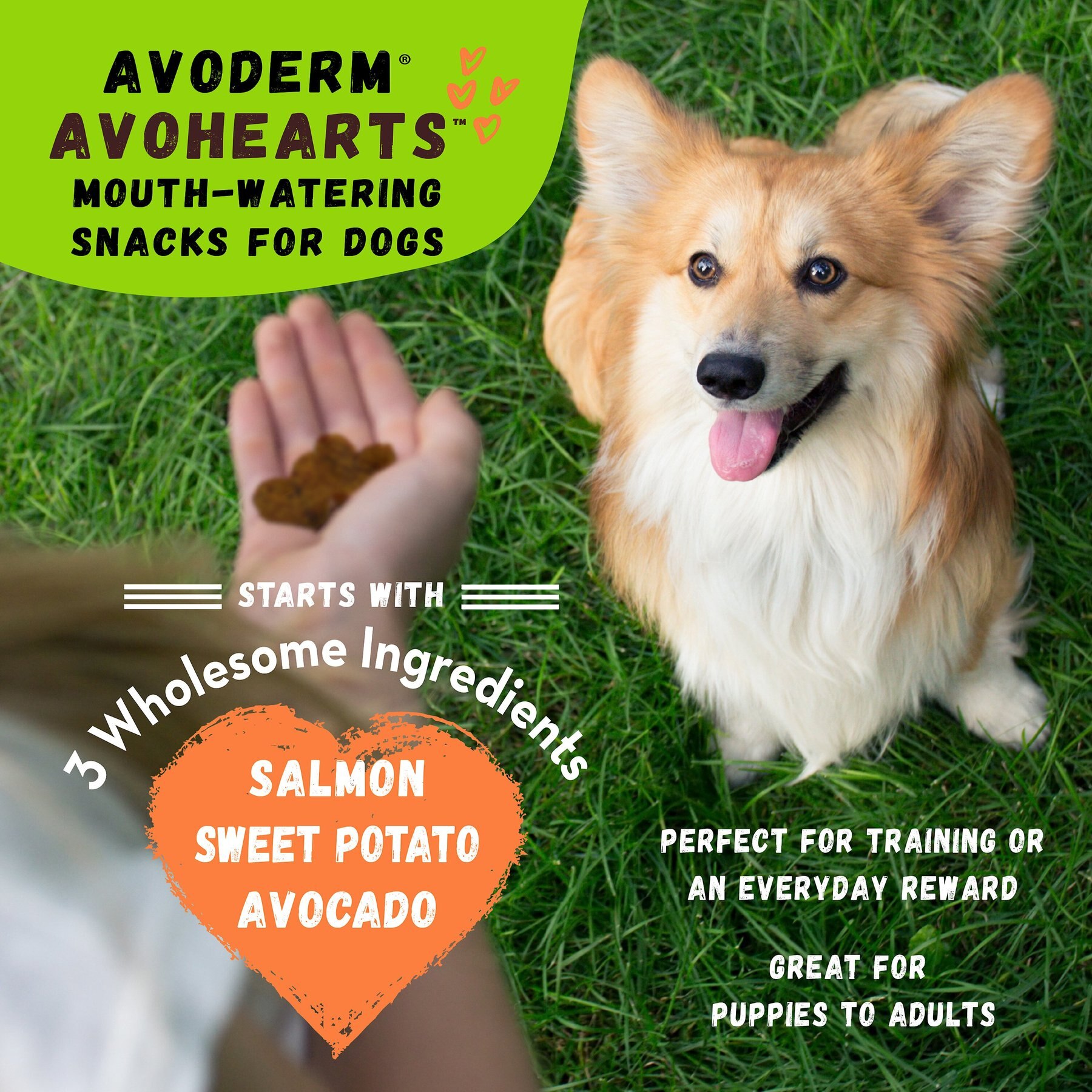AvoDerm AvoHearts Salmon & Avocado Formula Dog Treats, 5-oz bag