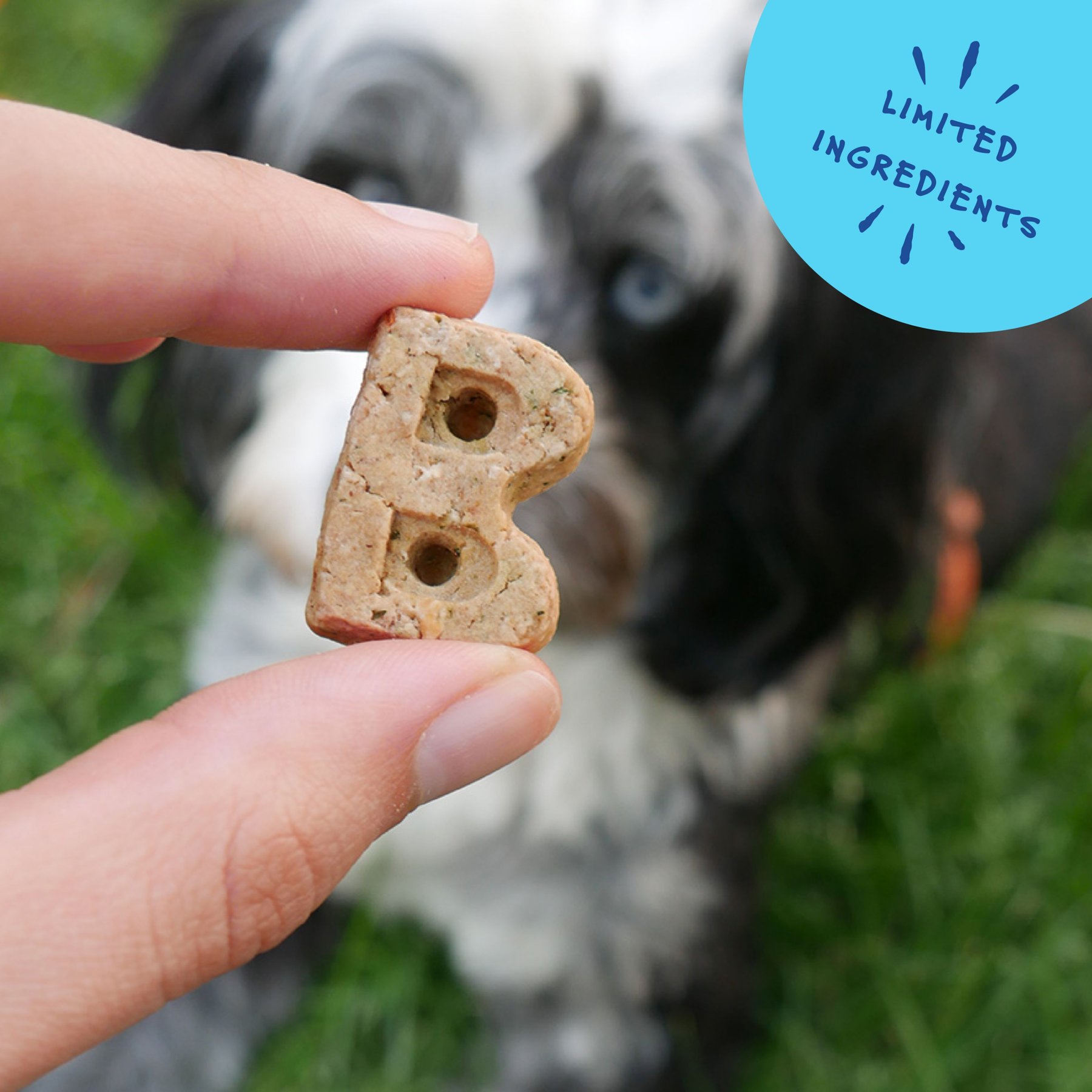Bocce's Bakery Oven Baked Wheat-Free Chicken Recipe Dog Treats