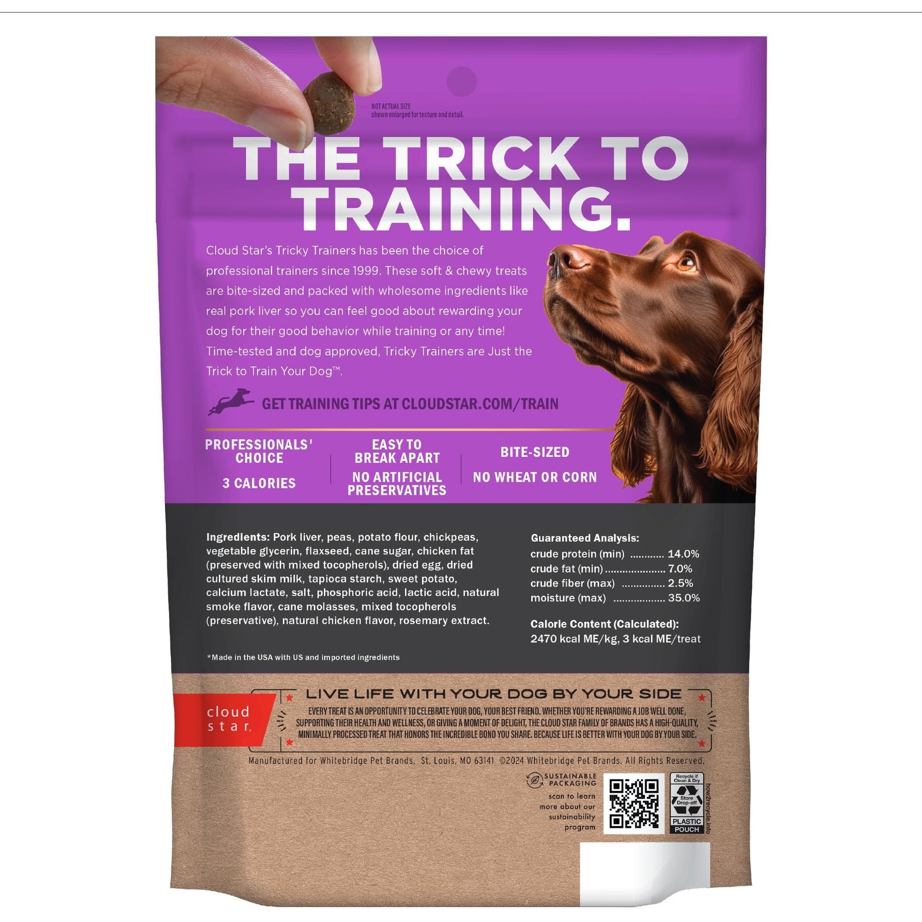 Cloud Star Tricky Trainers Chewy Liver Flavor Grain-Free Dog Treats